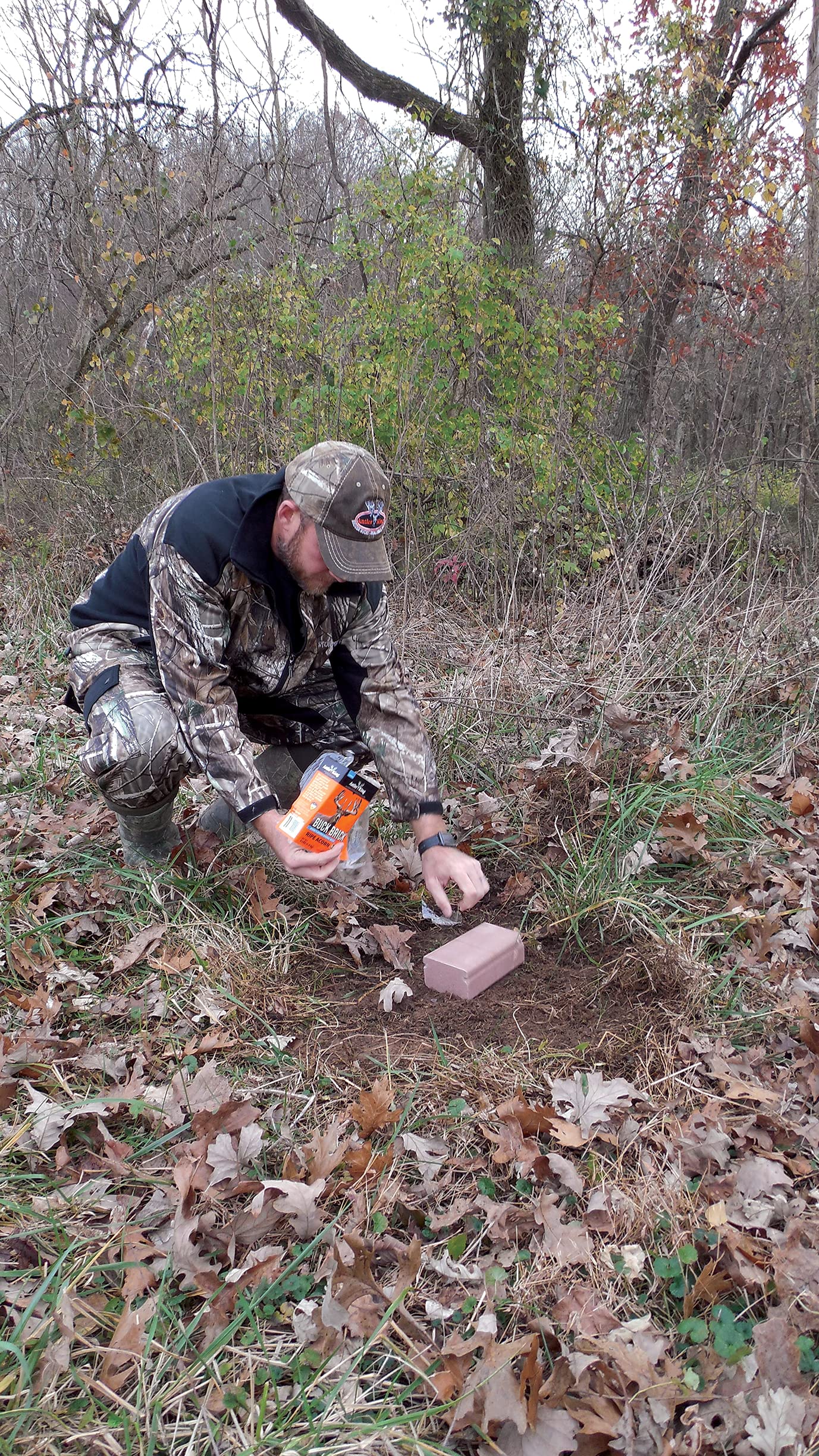 Antler King Ripe Acorn Flavored Buck Brick Attractant for Deer | 4 lb Mineral Brick Deer Attractant