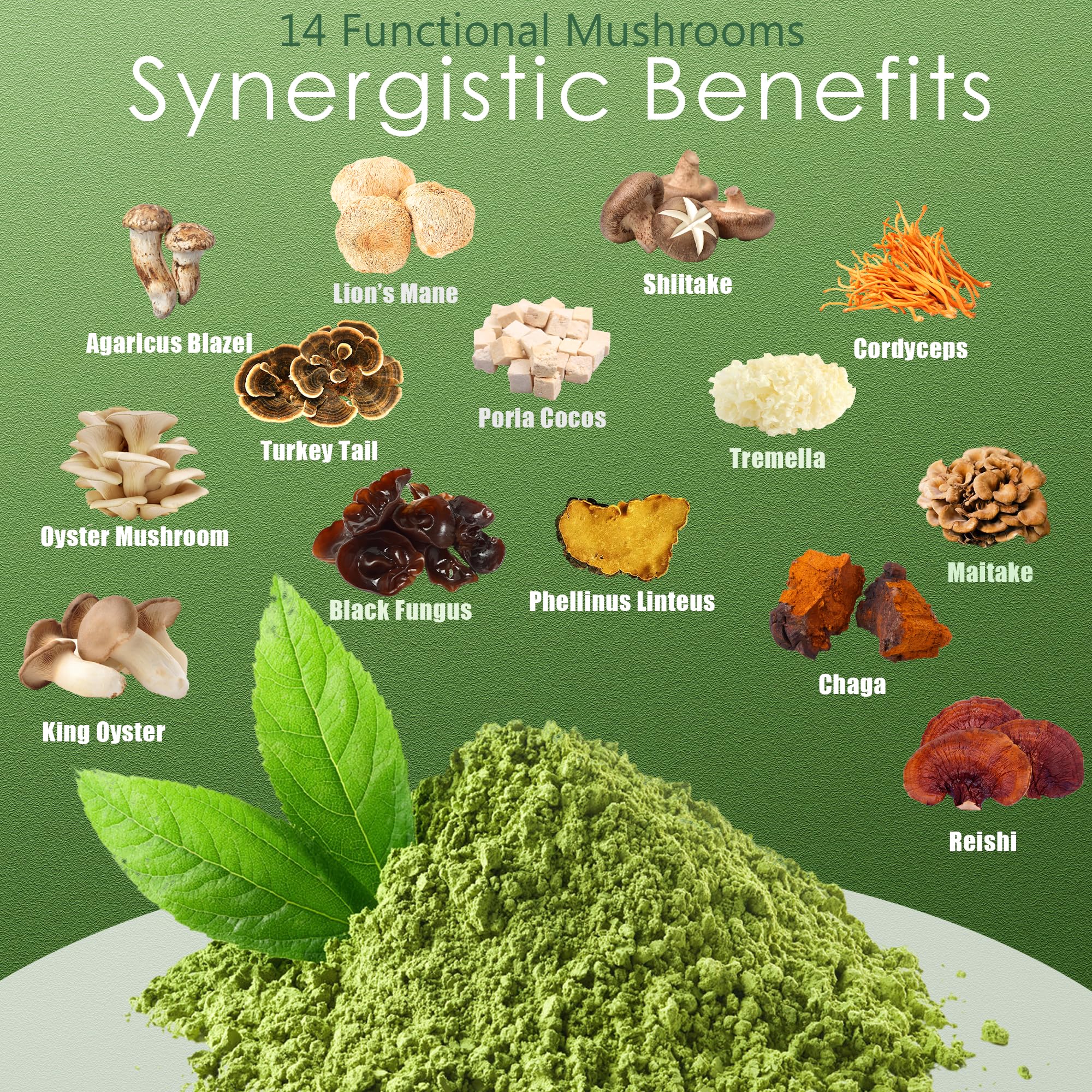 Mushroom Matcha Latte Ceremonial Matcha Green Tea Powder with 14 Mushrooms Probiotics and MCT Powder Lions Mane Reishi — view 4