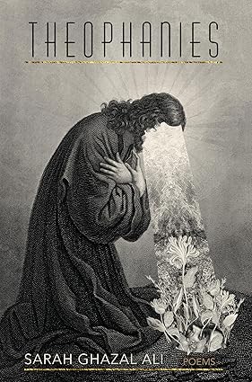 Theophanies-Wow! eBook