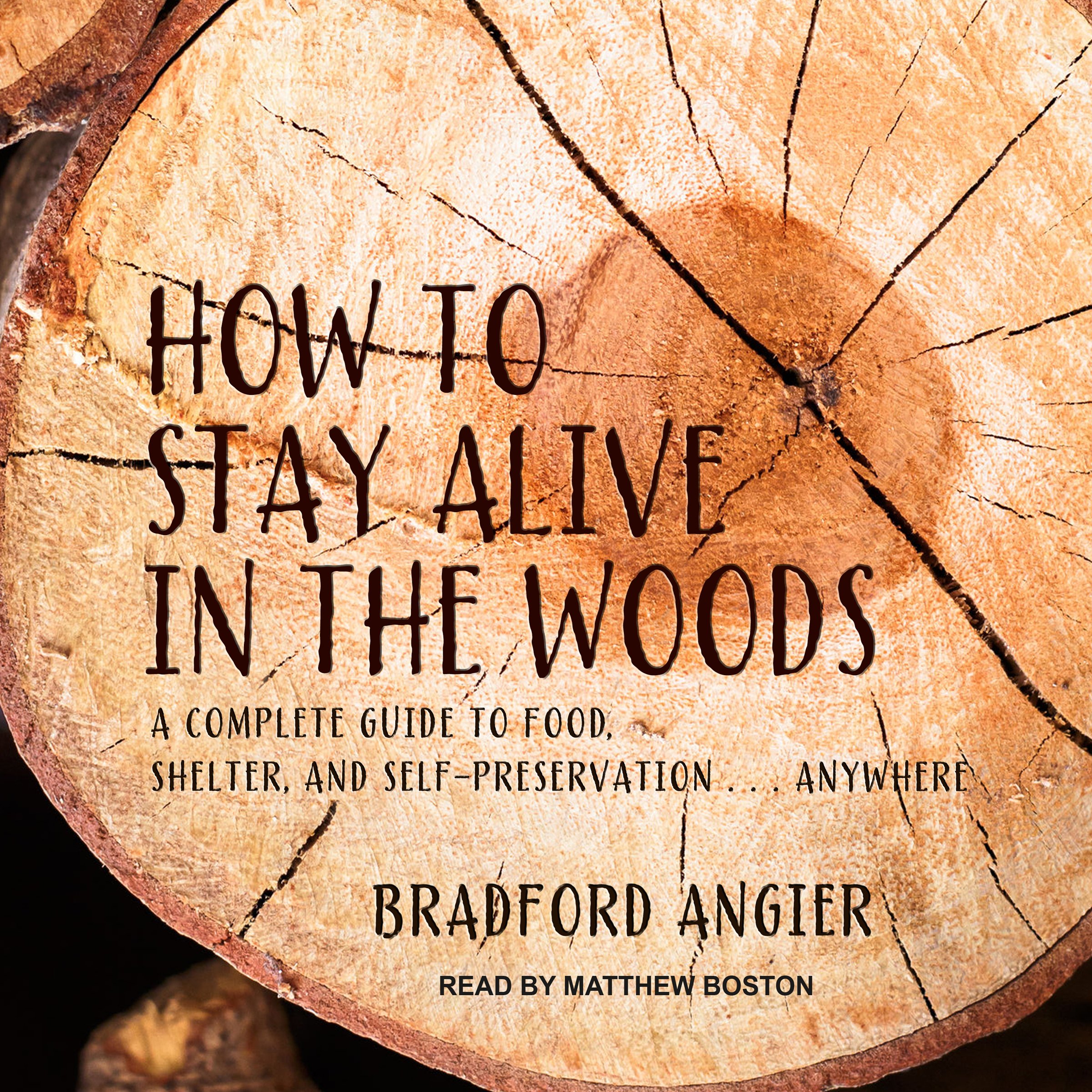 Cover art for How to Stay Alive in the Woods