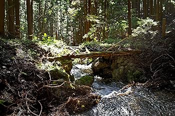 Amazon.co.jp: 廃墟賛歌 廃道レガシイ Obroad Legacy [DVD