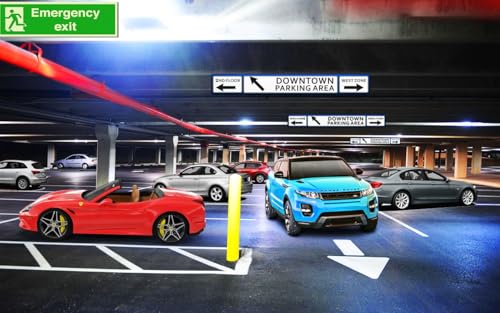 Car parking Driving Challenge 2018