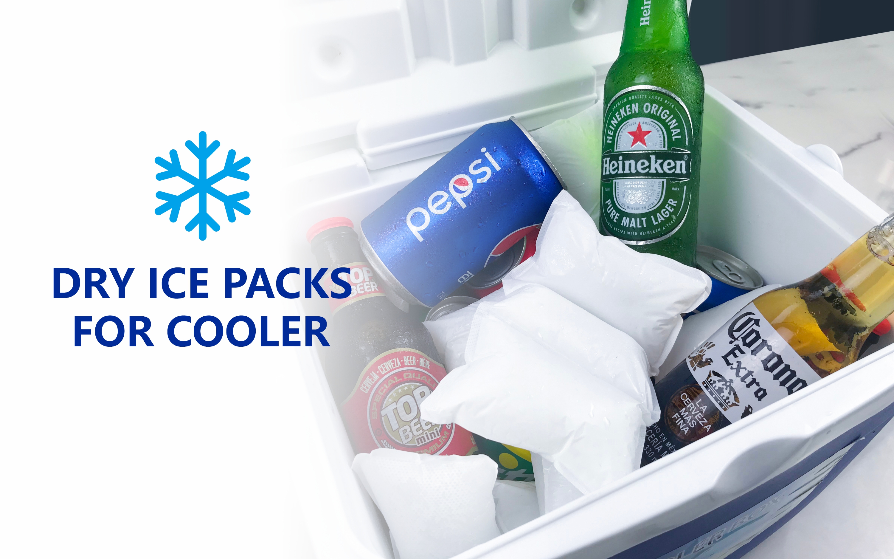 Dry Ice Packs For Coolers Reusable Dry Ice Pack Sheets Cooler