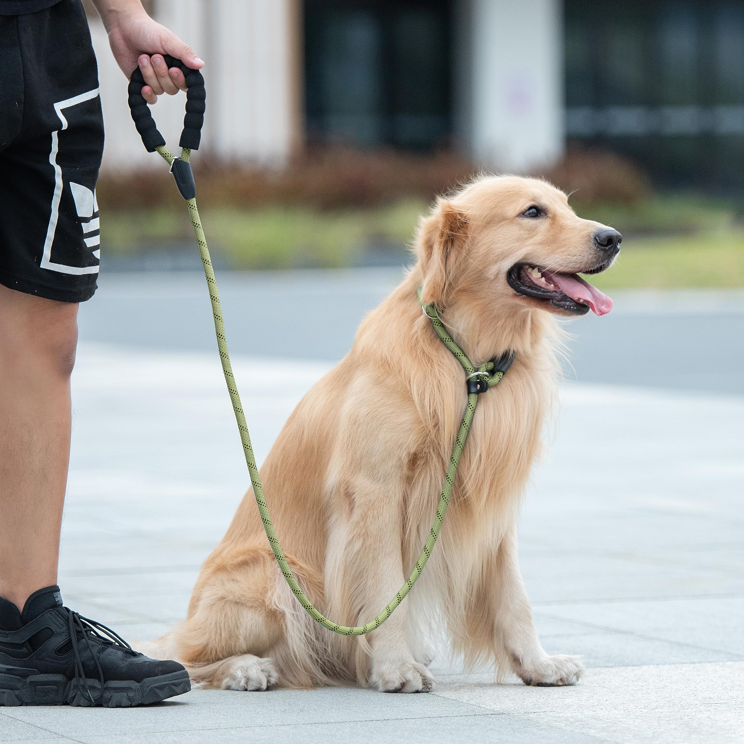iYoShop Guinzaglio per cani resistente con manico imbottito e fili altamente riflettenti, guinzaglio da addestramento per cani (1,27 cm x 1,2 m, verde militare)