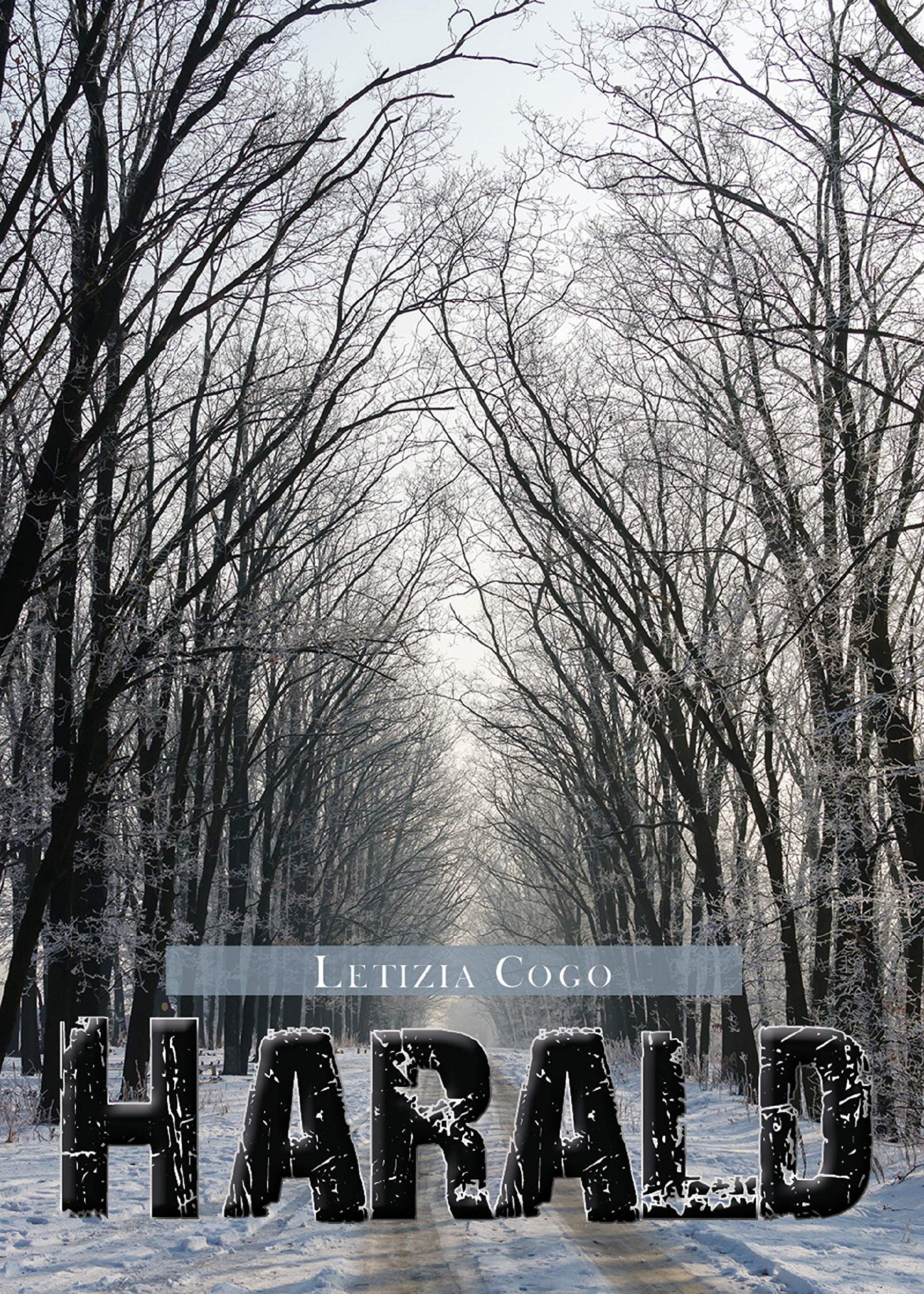 Harald (Italian Edition)