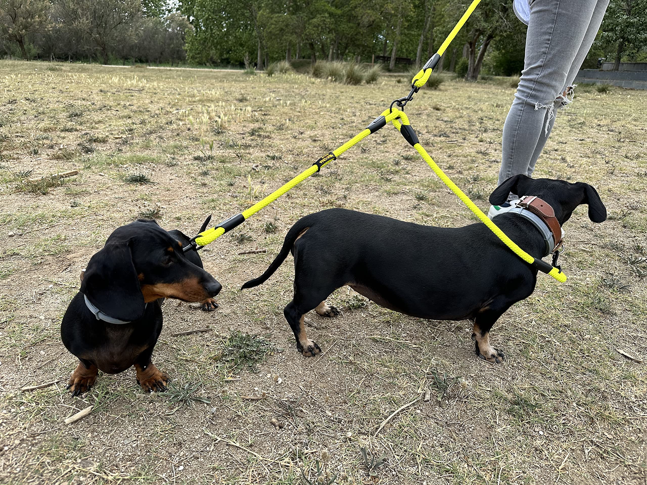 Guinzaglio Doppio Per Cani - Corda Paracadute Spagnola, Per Due Cani Piccoli/Medi/Grandi, Nero - Foto 7