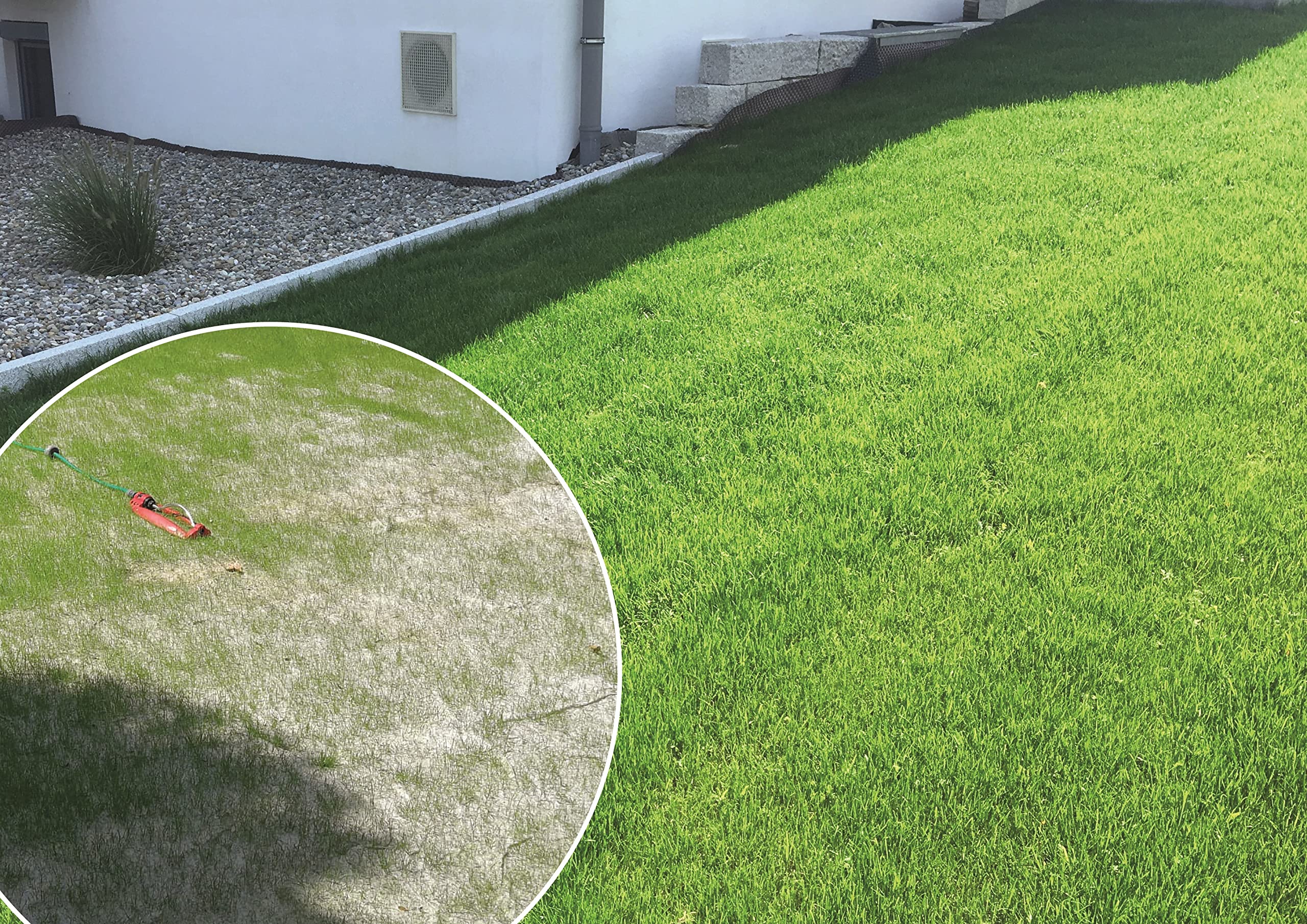 easygreen® - Wollrasen® - 12 m² | 1,20 x 10 m (ancho x largo) | esterilla de semillas de hierba | alternativa al césped enrollado | 100% biodegradable | colocación sin estrés de la alfombra de césped