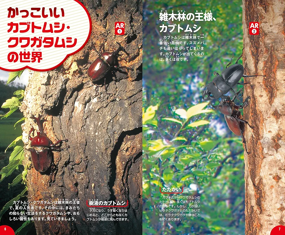 Amazon.co.jp: カブトムシ・クワガタムシ (学研の図鑑LIVE