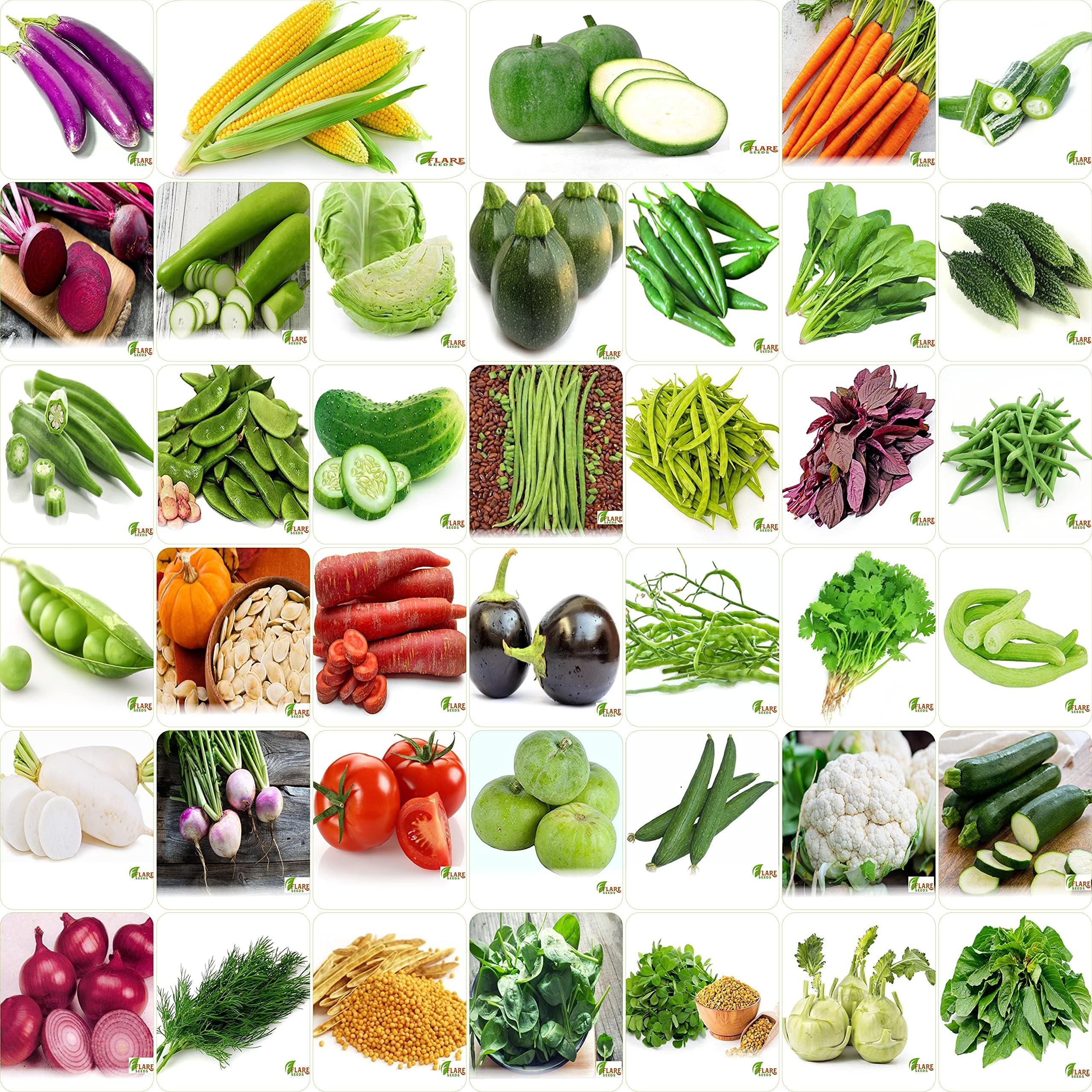 India's No.1 Vegetable Seeds, Winter, Summer, Home Garden, Seeds Bank, Organic 40 Seeds Combo