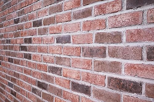 MSI Noble Red - Azulejo de ladrillo de arcilla de 10.5 pulgadas x 28 pulgadas, azulejos de pared de ladrillo para baño, cocina, azulejos de pared