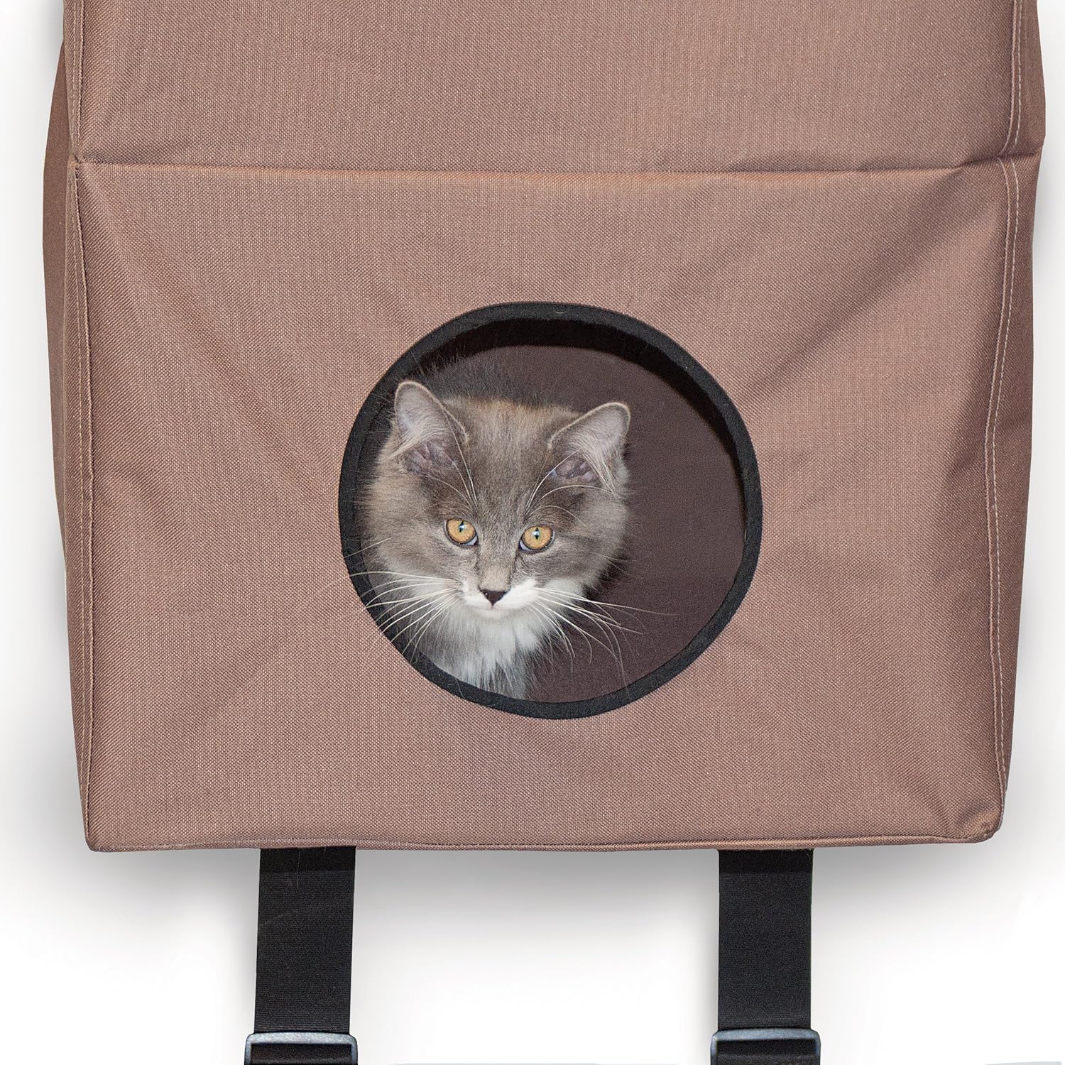 door hanging cat tree
