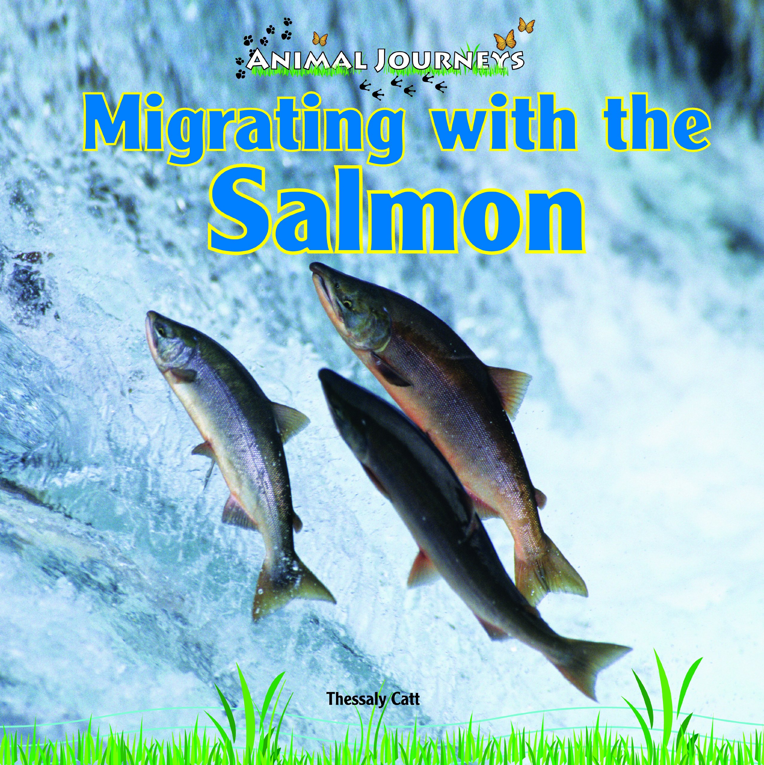 Migrating with the Salmon (Animal Journeys)