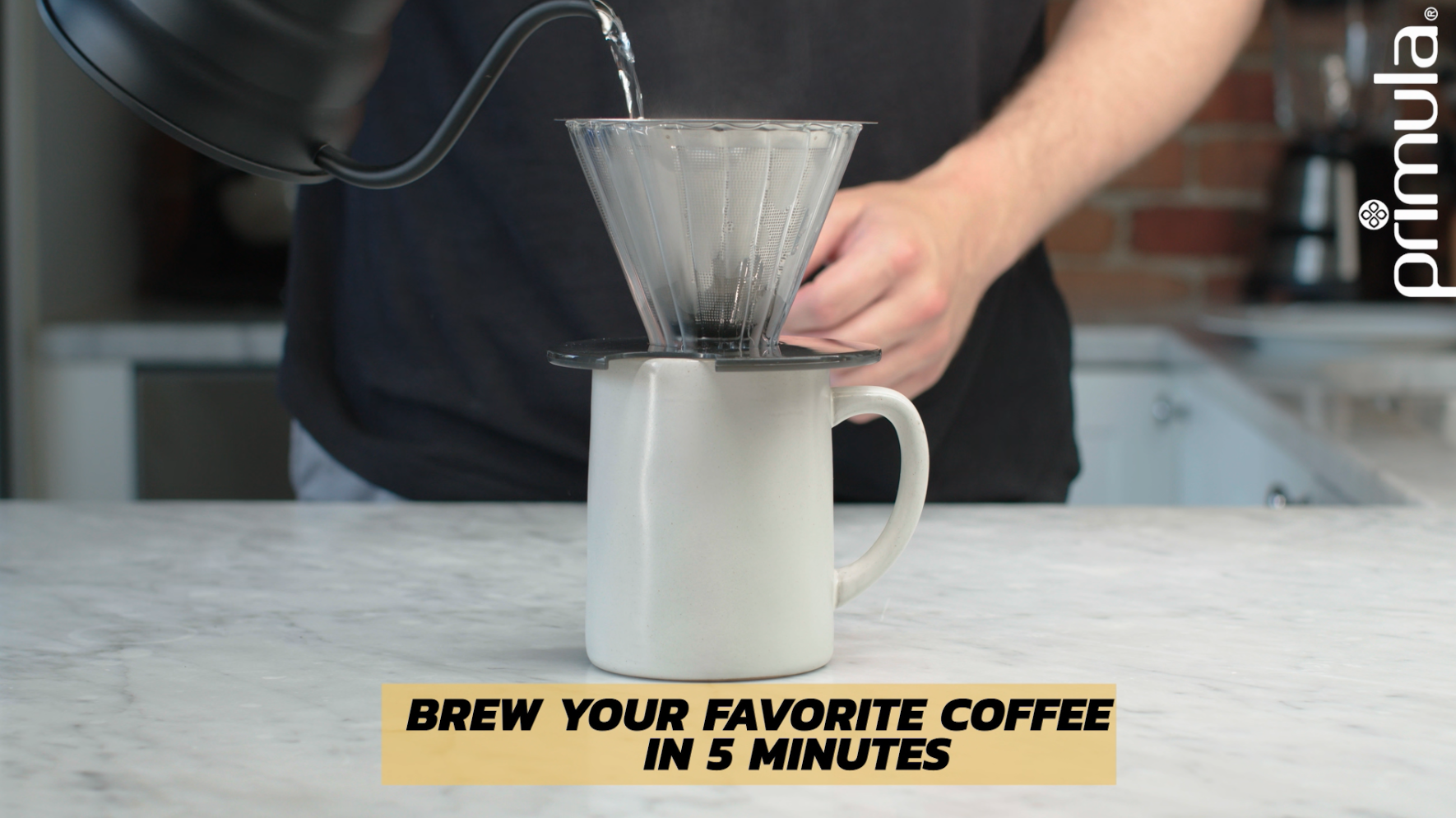 Amazon.com: Primula Seneca Pour Over Coffee Maker Removable Ultra