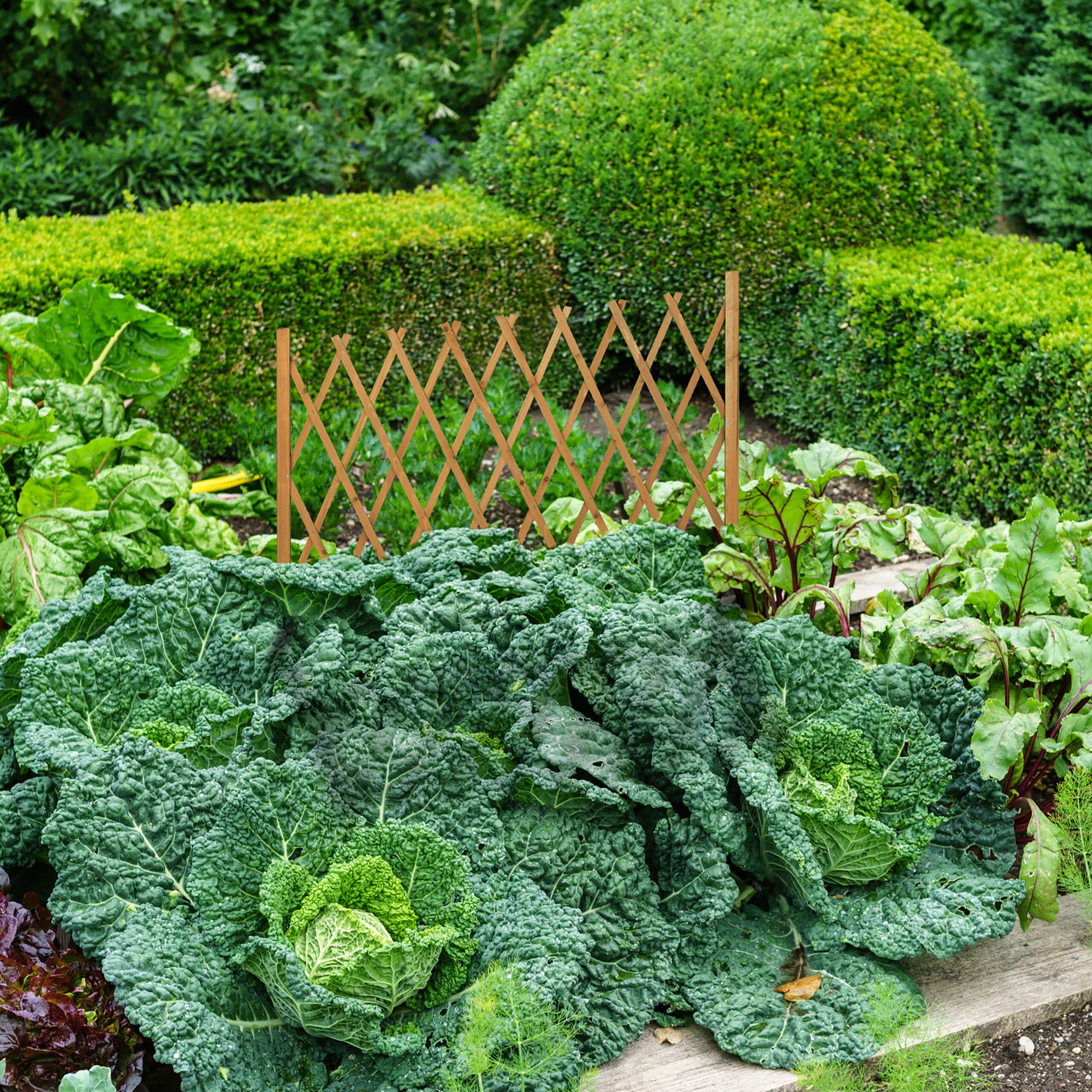 View 5