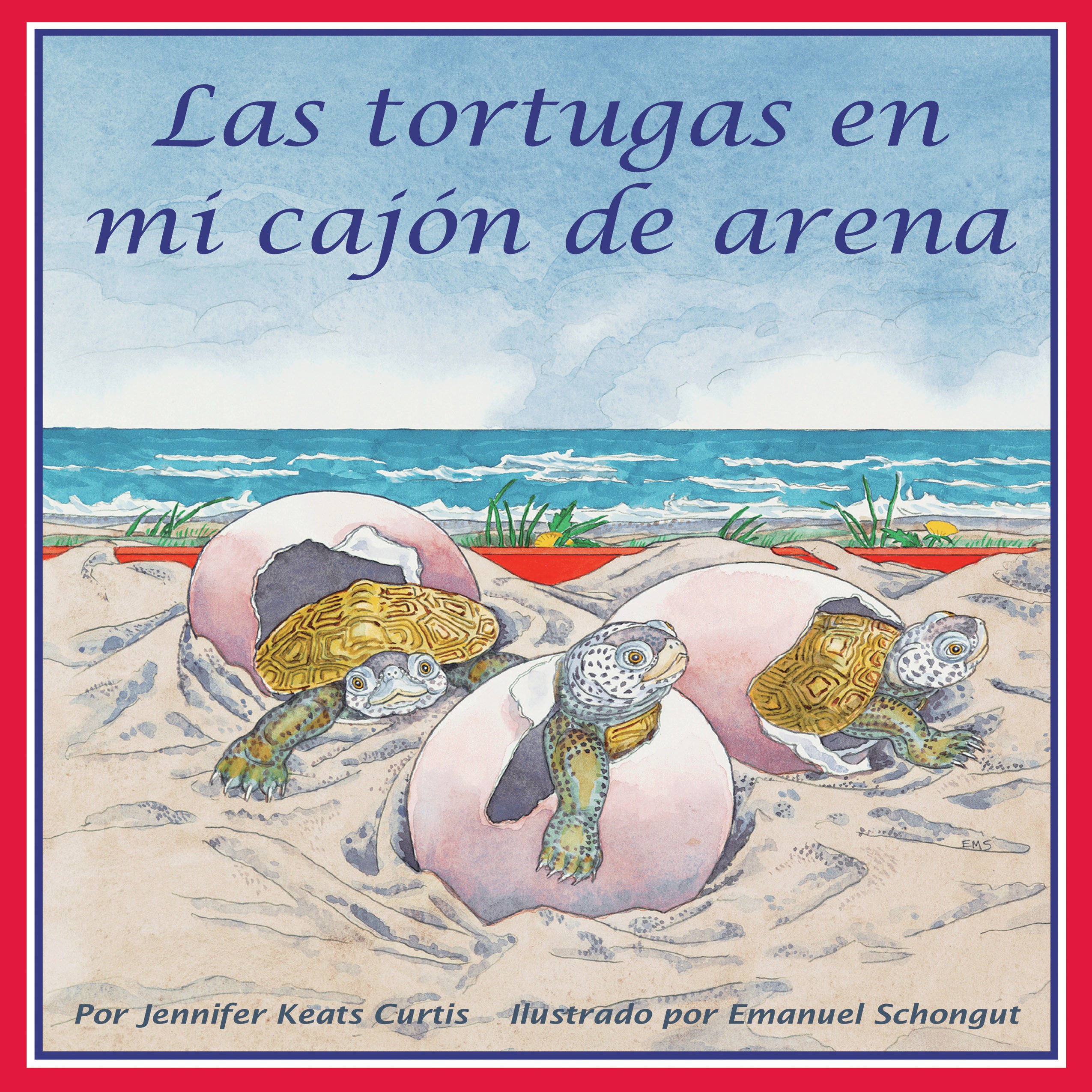 Las tortugas en mi cajón de arena [Turtles in My Sandbox]