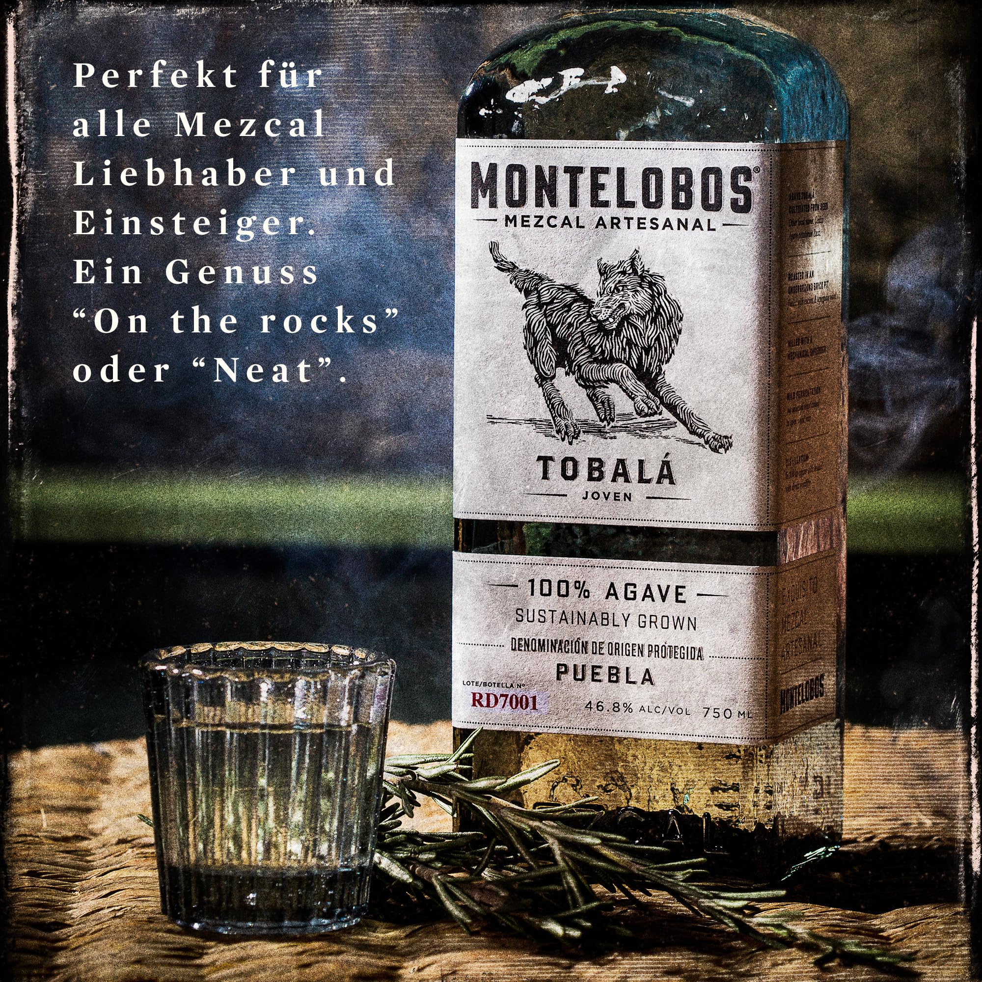 Montelobos Tobalá Mezcal – Premium Mezcal aus 100% Agave – Komplexer, ausgewogener Geschmack mit feinen Raucharomen – 1x 0,7L