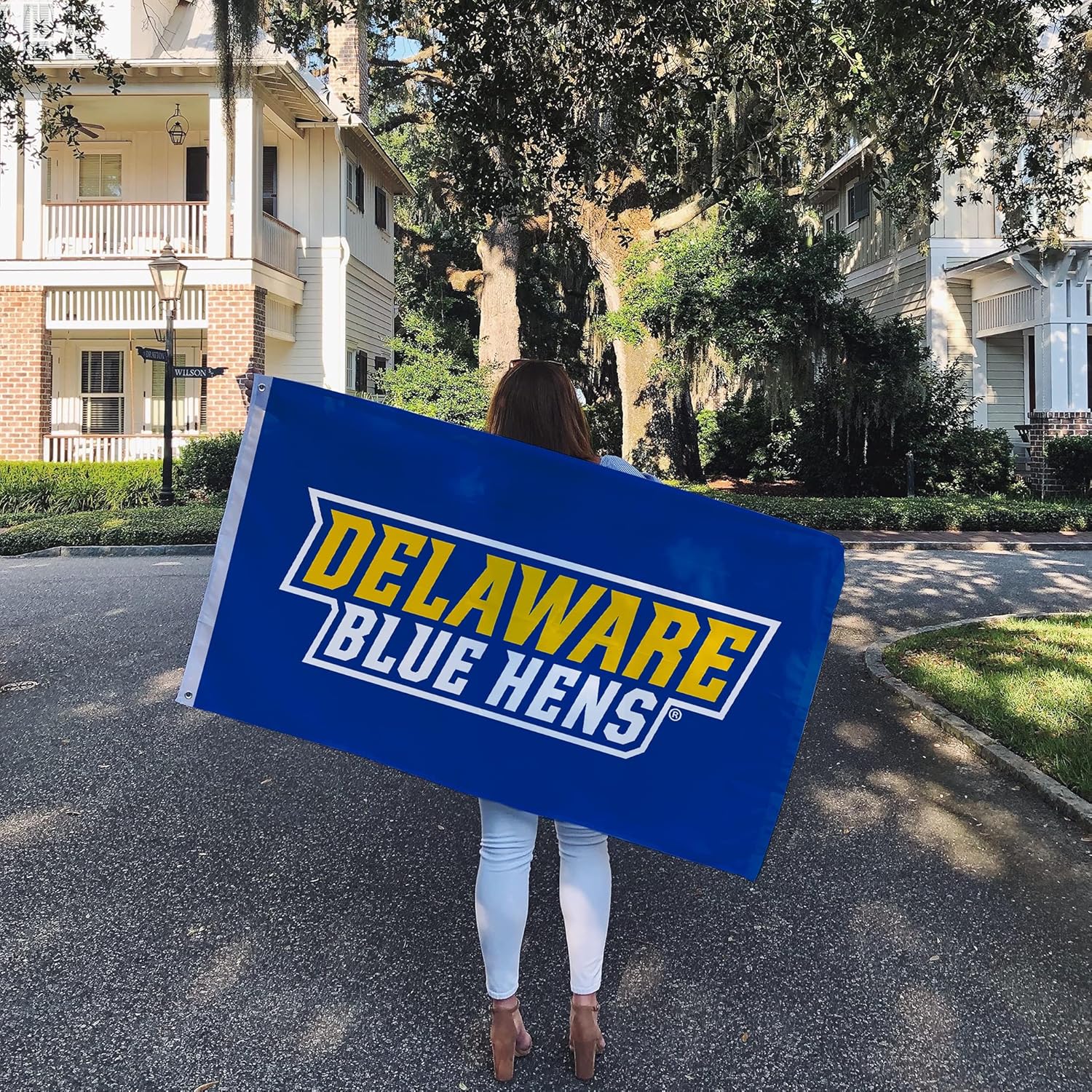 Desert Cactus University of Delaware UD Flag - 3 x 5 Feet Fightin Blue Hens Banner, Indoor/Outdoor Durable Fabric, 100% Polyester Design (Style 3) - Image 5