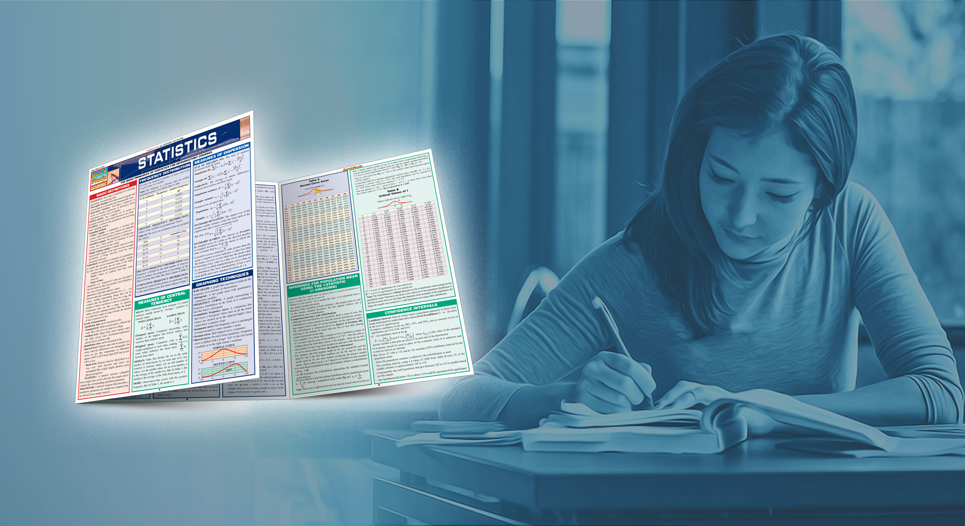 Image of Statistics Laminate Reference Chart: Parameters, Variables, Intervals, Proportions (Quickstudy: Academic )