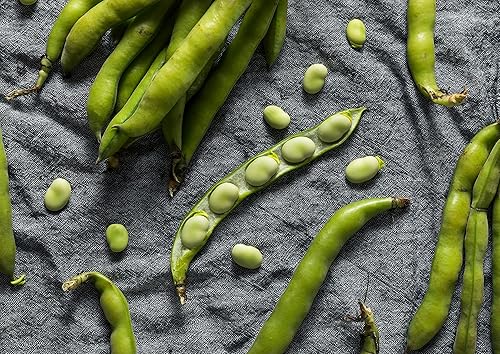 Miniatura 8 de Harina de frijol de Fava orgánico, 16 libras, sin OMG, finamente molida, pura, cruda, vegana en polvo a granel. Buena fuente de proteínas y fibra.