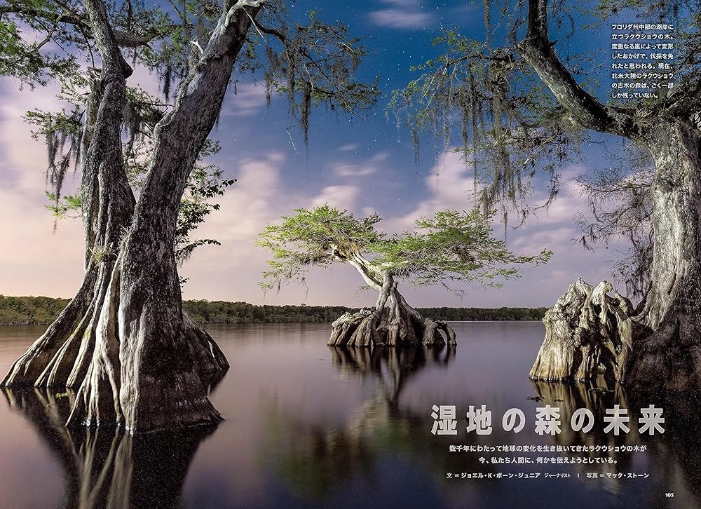 ナショナル ジオグラフィック日本版 2023年9月号（エルサレム 岩