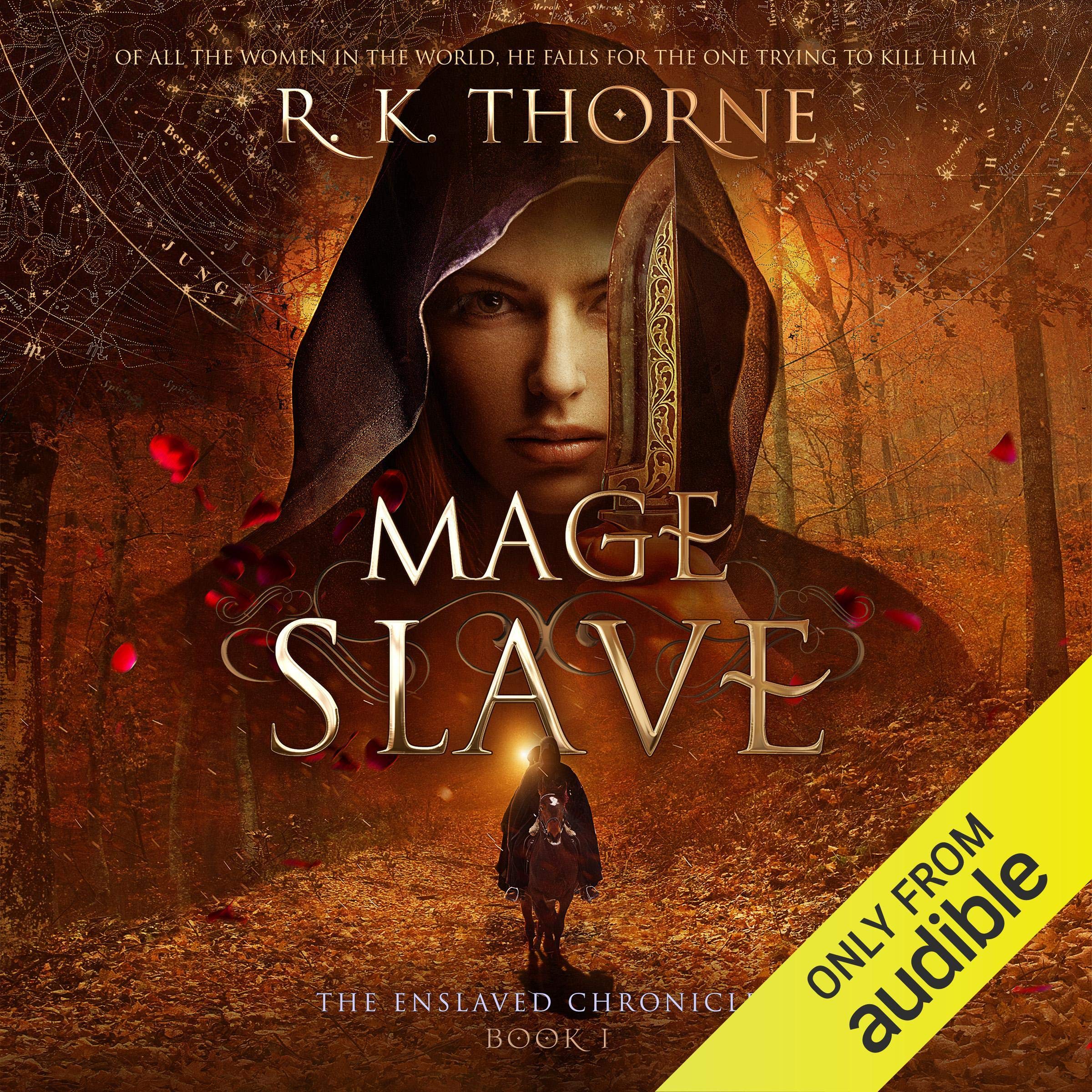 Cover art for Mage Slave
