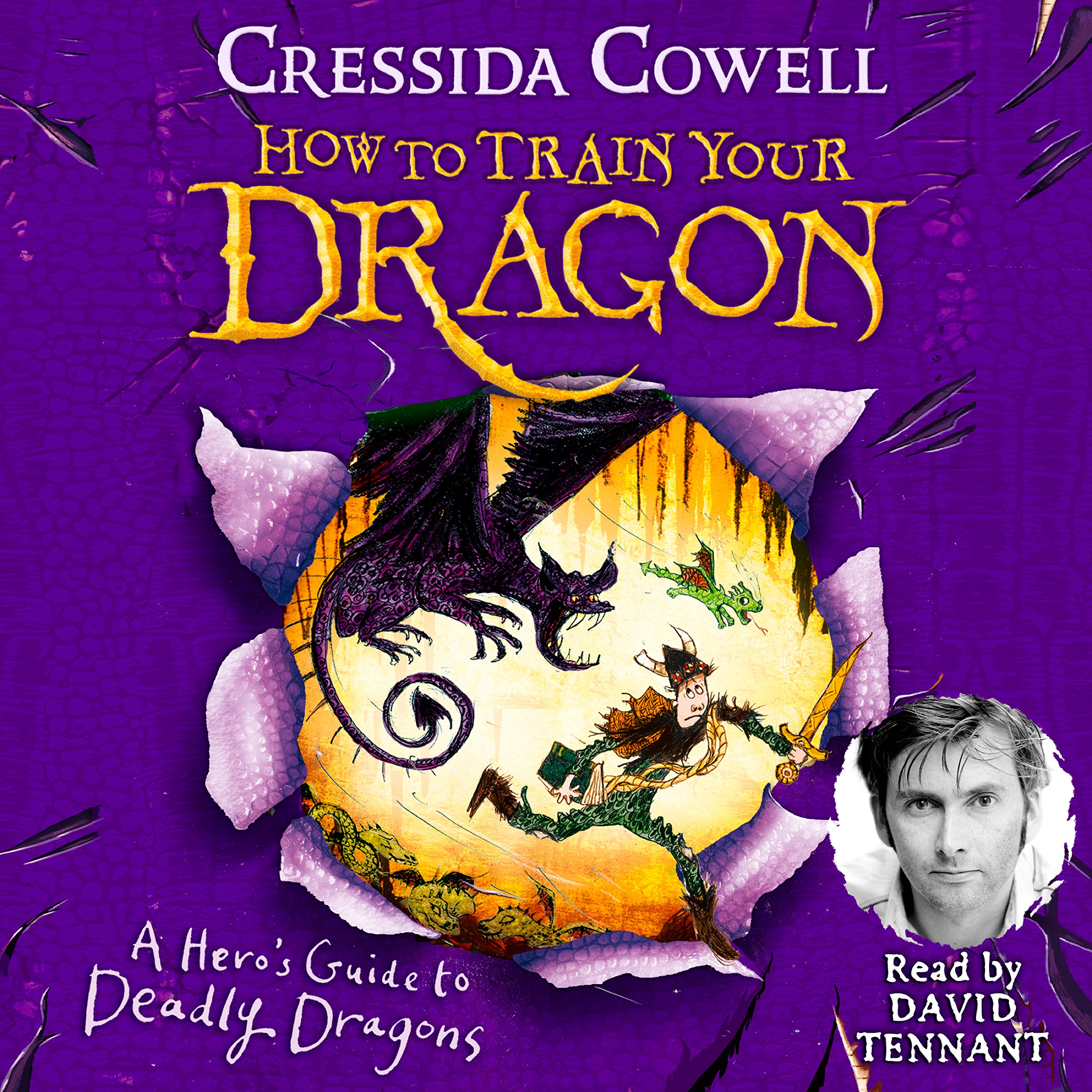 Cover art for A Hero's Guide to Deadly Dragons