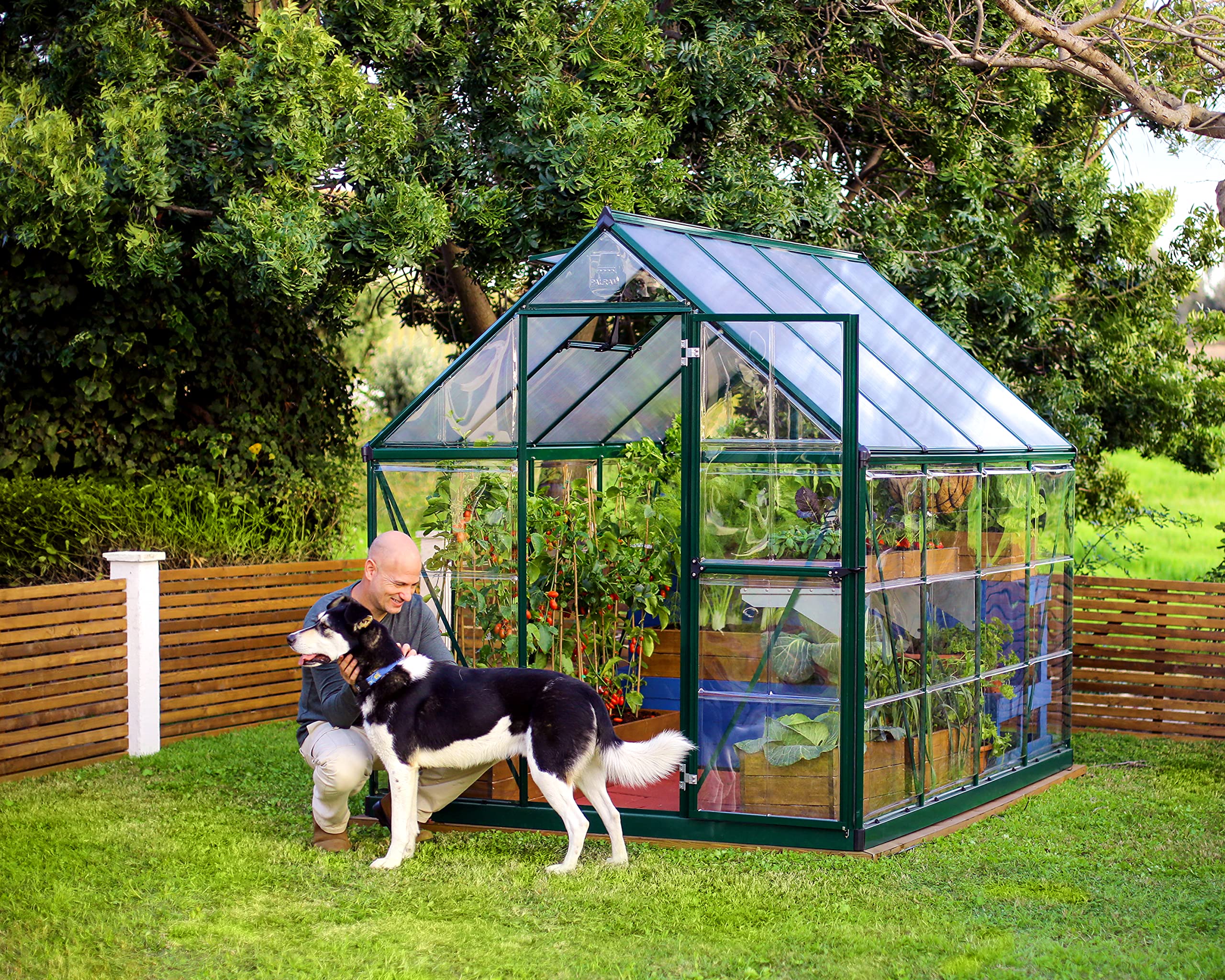 Amazon.com : Palram - Canopia 6x8 Greenhouse for Outdoors, Walk-In