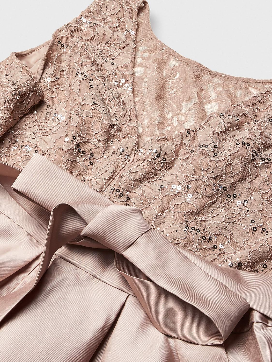 Women's Plus Size Sequined Lace Gown Dress