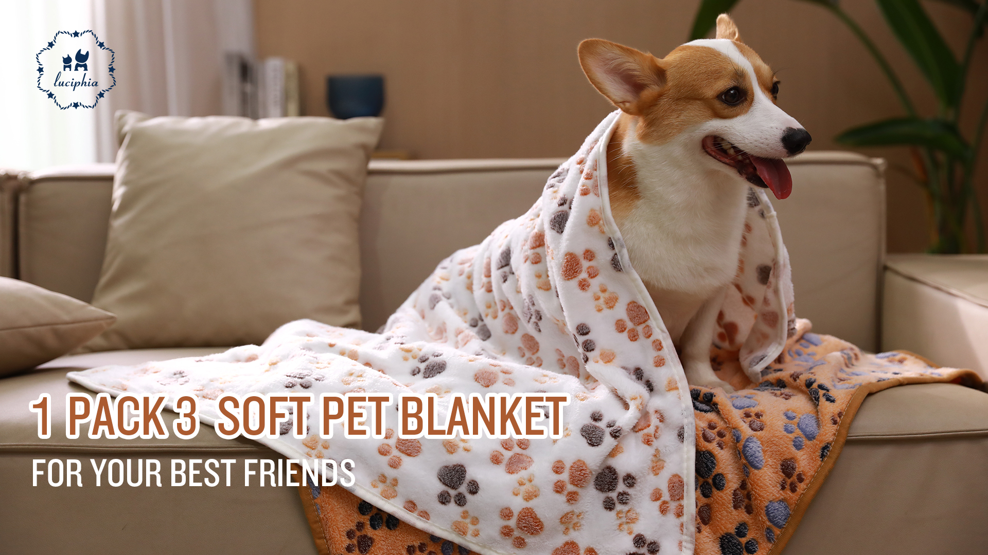 1 Pack 3 Blankets Super Soft Cute Dot Pattern Pet Blanket Flannel Throw for Dog Puppy Cat Beige/Brown/Pink Small - Image 8