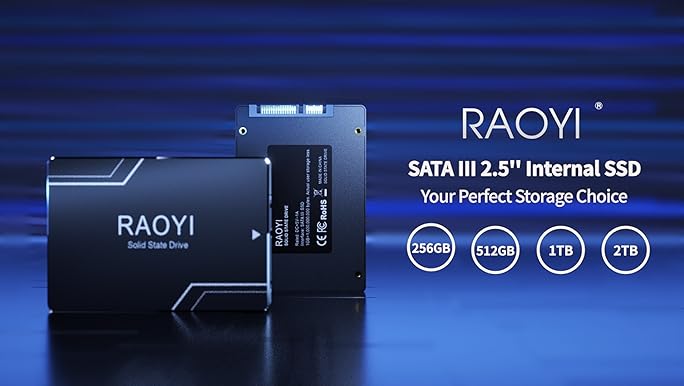 Amazon.com: RAOYI 512GB Internal SSD SATA III 6Gb/s 2.5