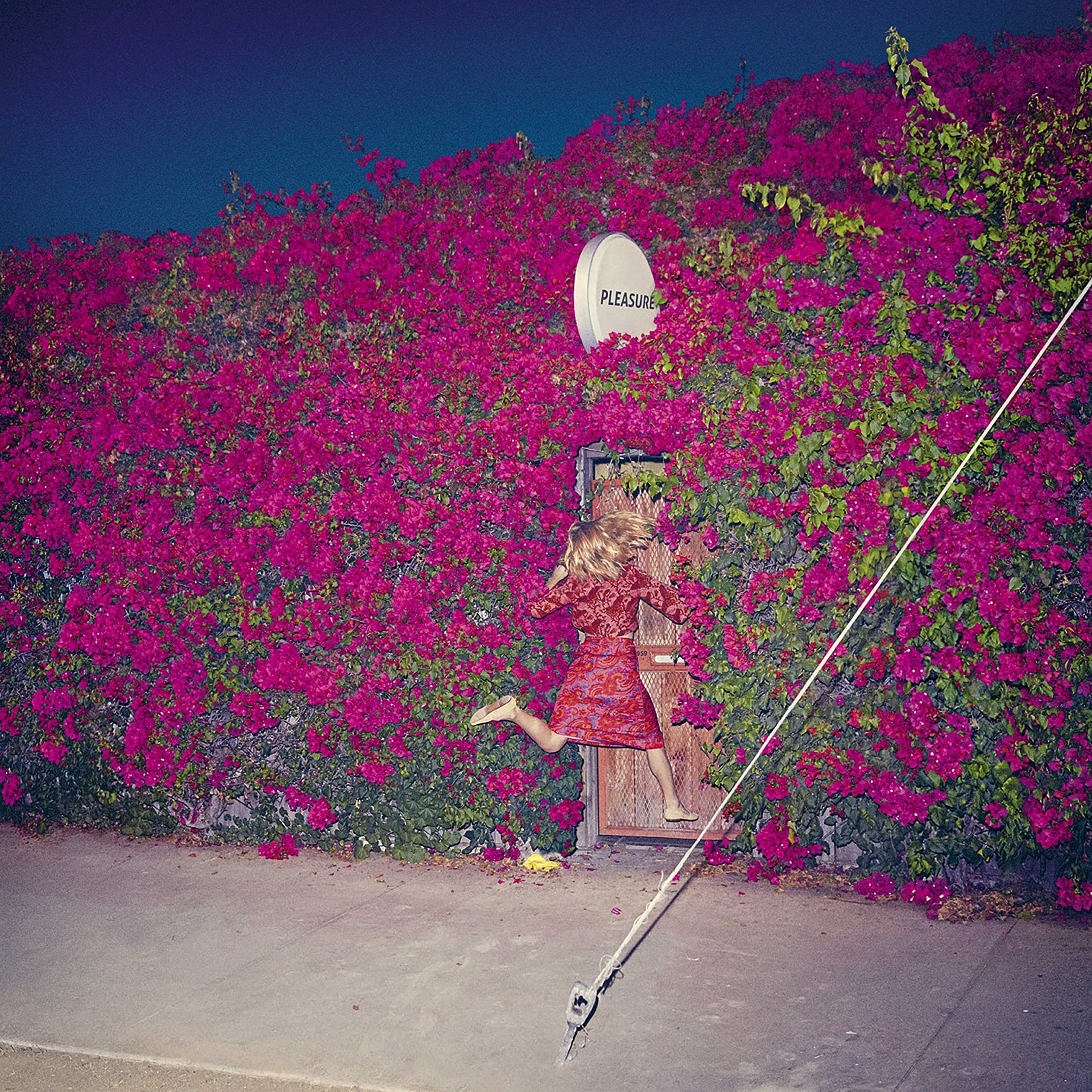 Feist - Pleasure - Amazon.com Music