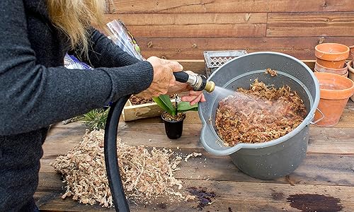 Miniatura 5 de SuperMoss - Musgo seco para orquídea sphagnum seco