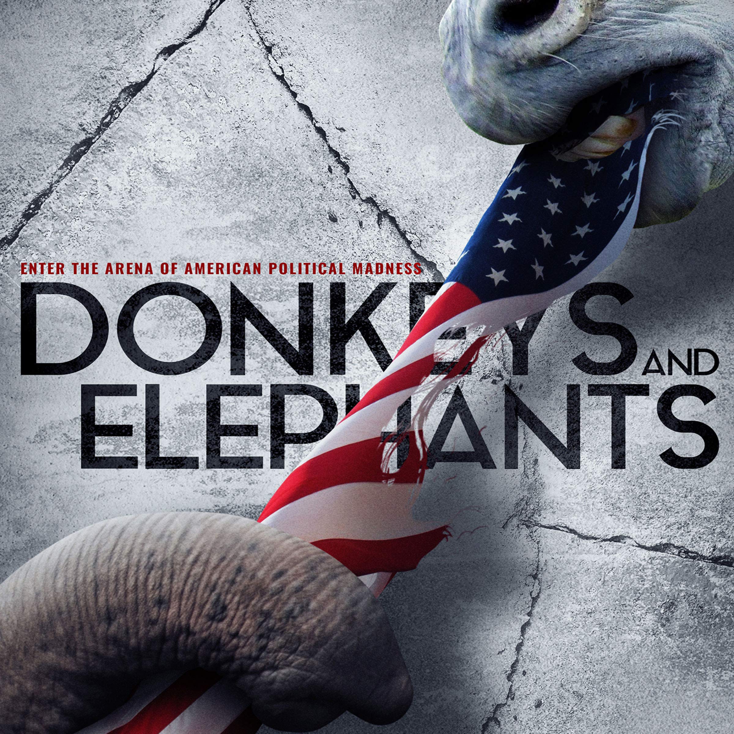 Donkeys and Elephants