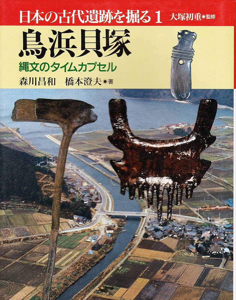 日本の古代遺跡 日本全国の遺跡シリーズ　40冊セット 日本の古代遺跡 日本全国の遺跡シリーズ 40冊セット