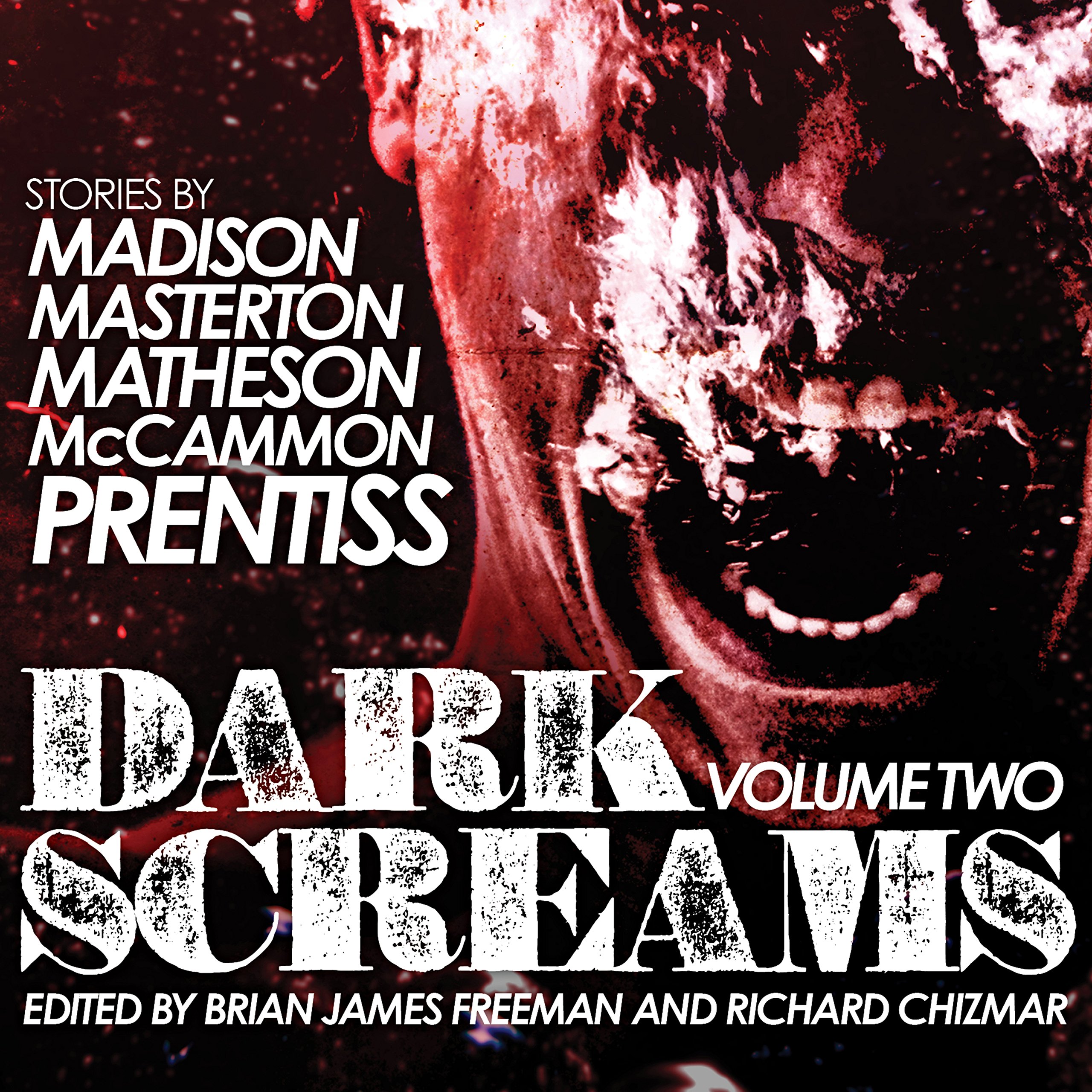 Cover art for Dark Screams, Volume Two