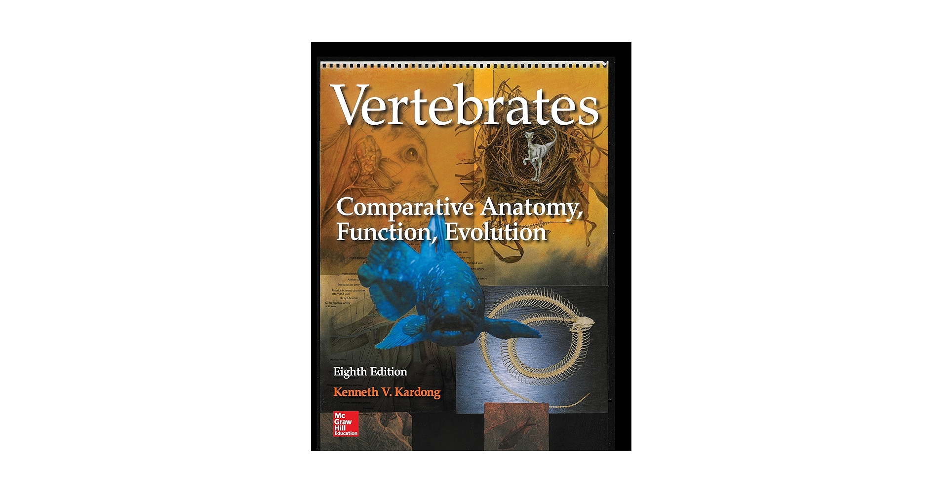 Amazon.com: Vertebrates: Comparative Anatomy, Function