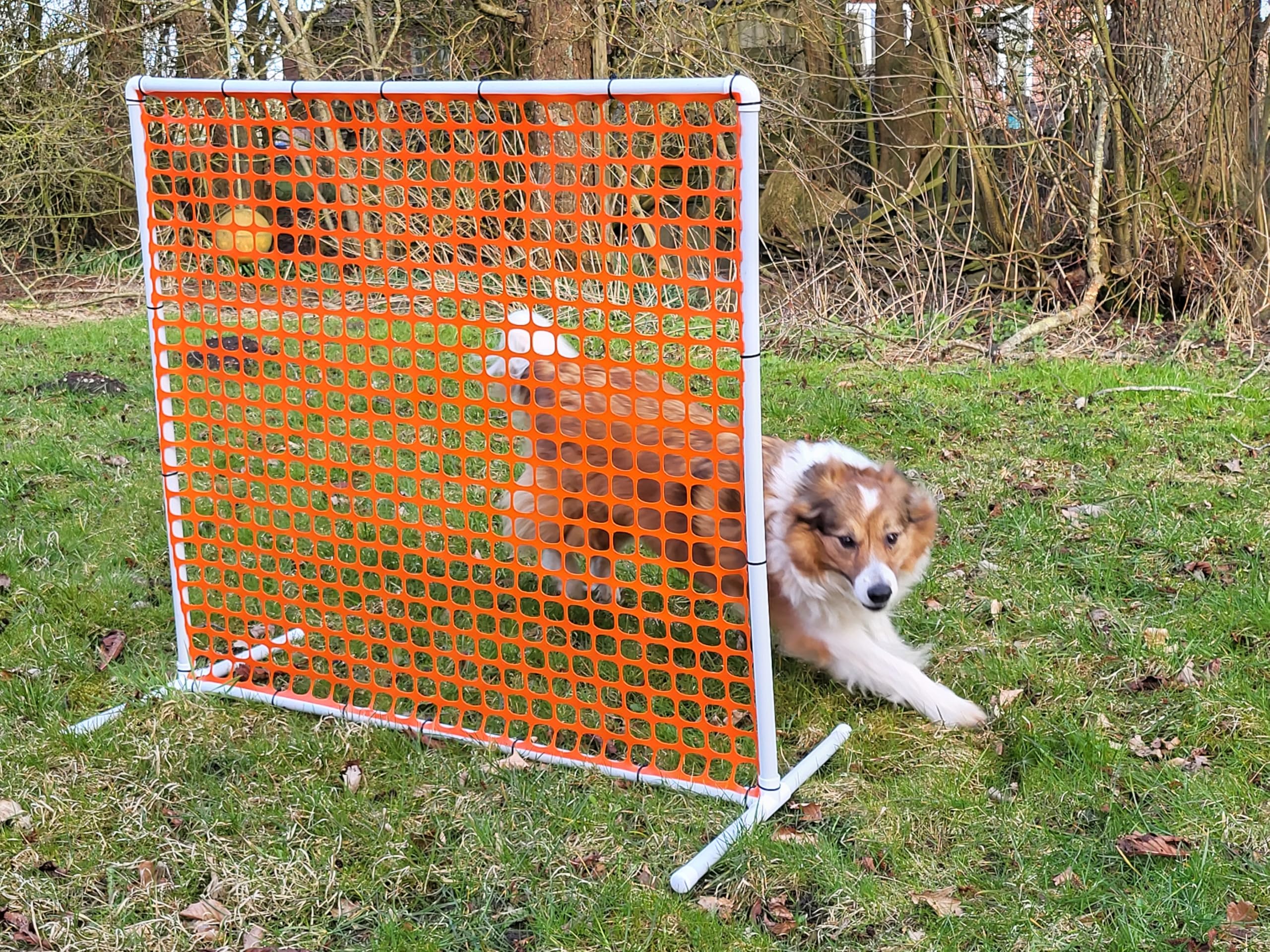 Generisch HOOPERS Agility Combi - Set / 1 Gate / 3 Hoopers Bögen/Gatter/Trennzaun, Hoopers Bogen/aus Kunststoff, NADAC Hoopers, Fun Hoopers, Hundesport