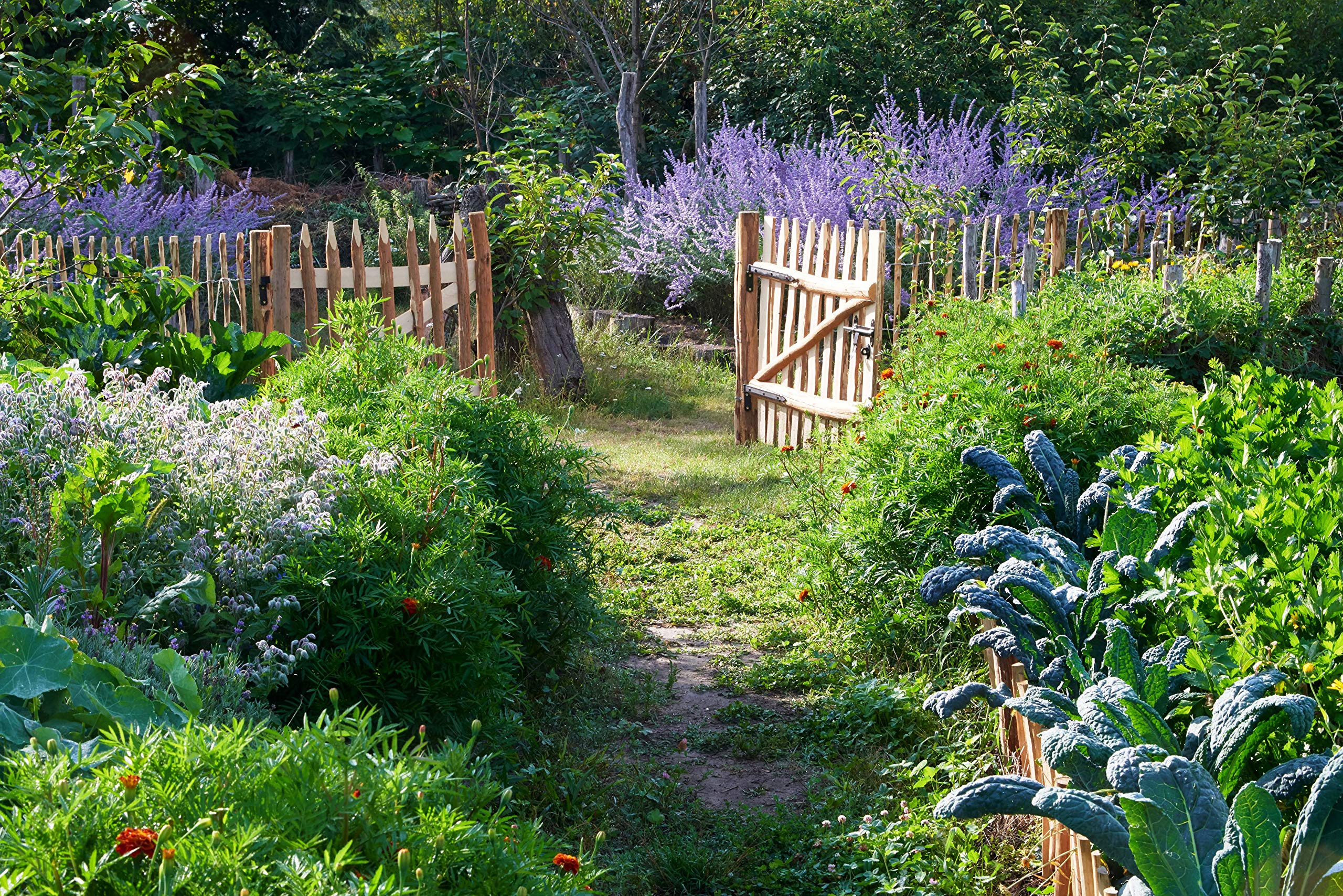 Gartentor Zauntor Haselnuss Staketenzaun Gartenzaun Garten Tür Holztor Hof Tor Zauntor für Staketenzaun Höhe 50cm (V11-50)