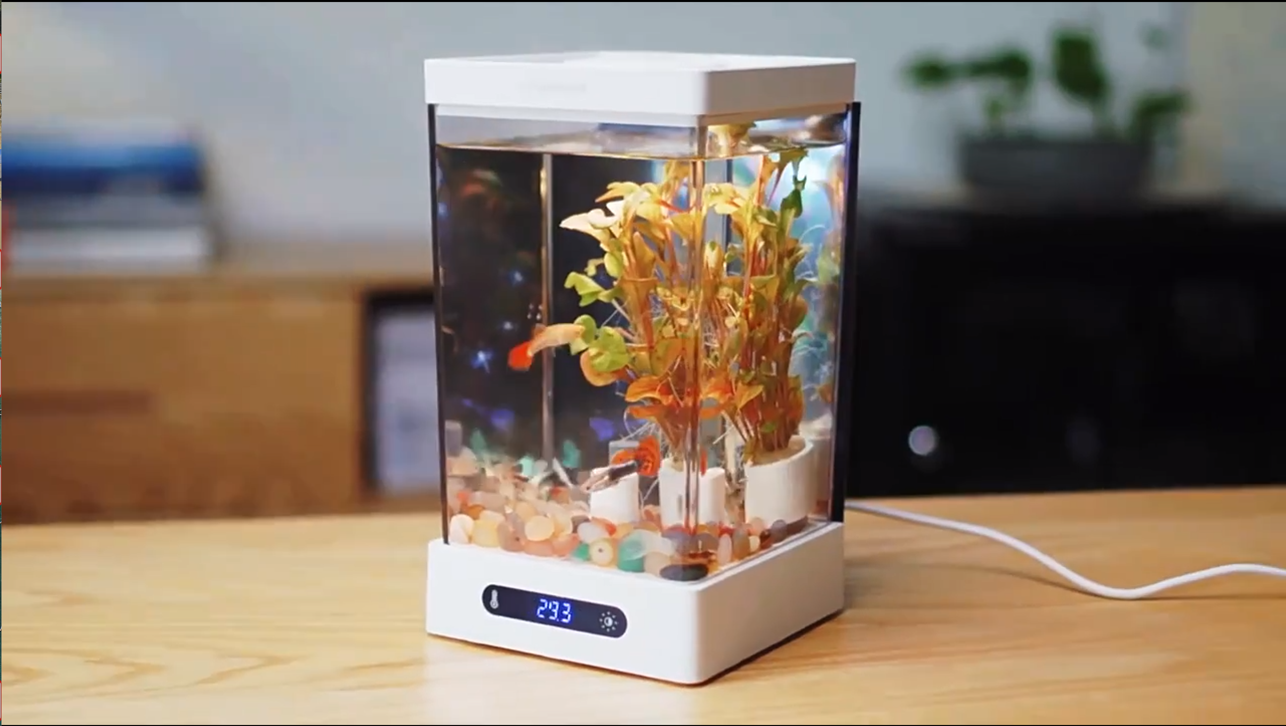 Amazon | 小型ベタ水槽 コンパクト FiSH-α1 1.6L 20-30°C温度