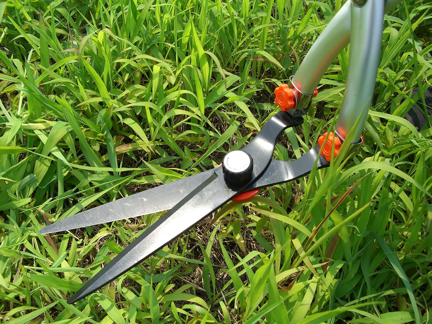 ㈱ホシノ ホシノ 立ち作業用草刈りはさみ