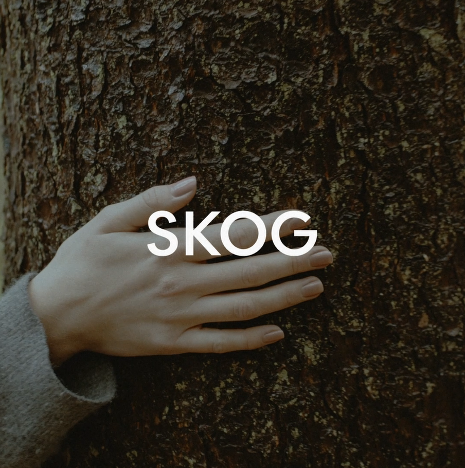 Bougie Parfumée SKOG 'Forêt' - Notes Pin, Sève Bouleau, Muguet - 200g - Skandinavisk - Made In Sweden