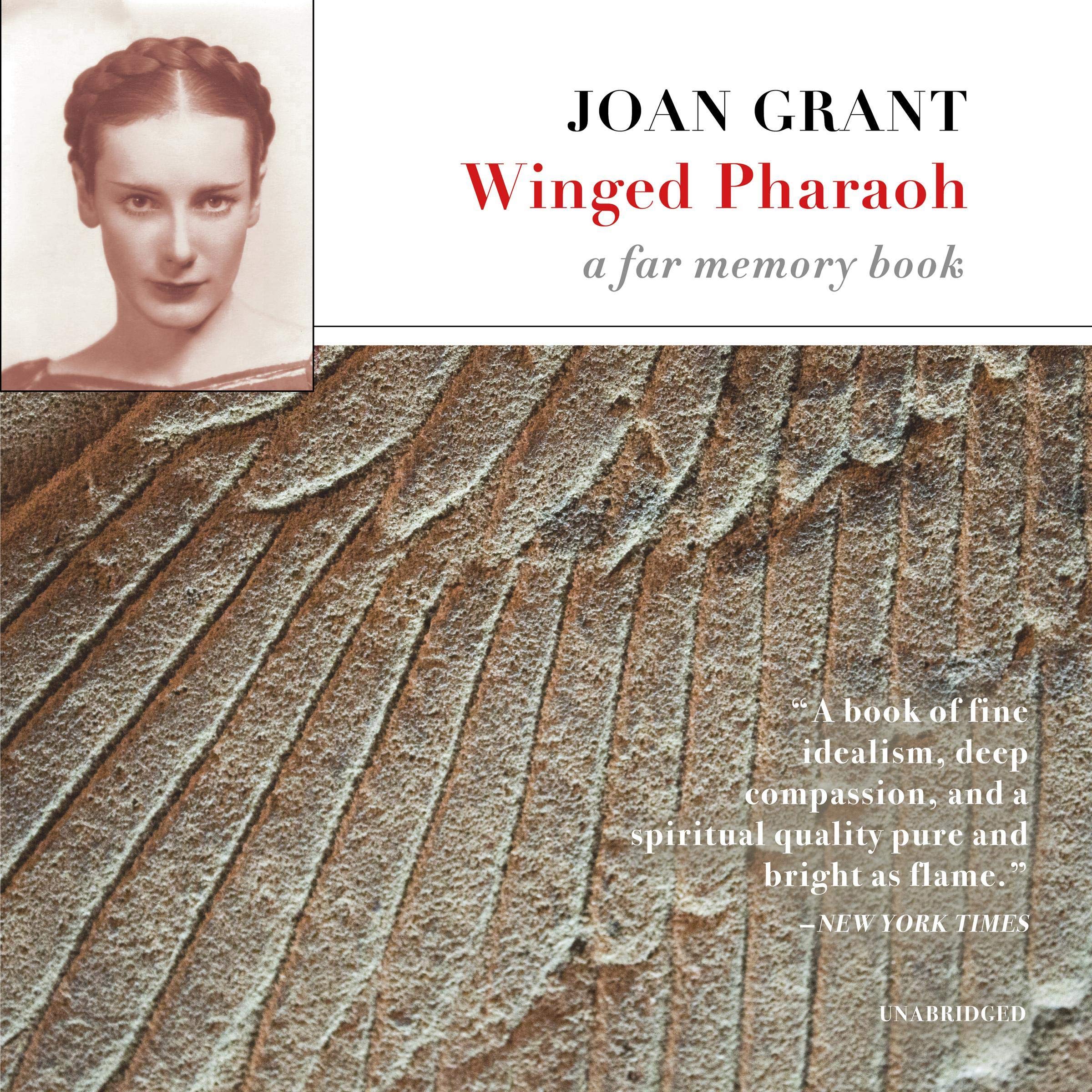 Cover art for Winged Pharaoh