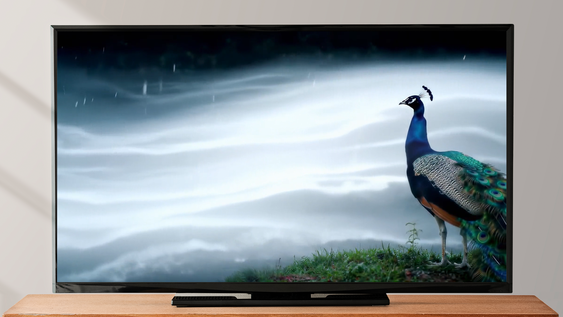 Peacock Bird Screensaver - Bird Songs & Nature Sounds - Aplicativo na ...