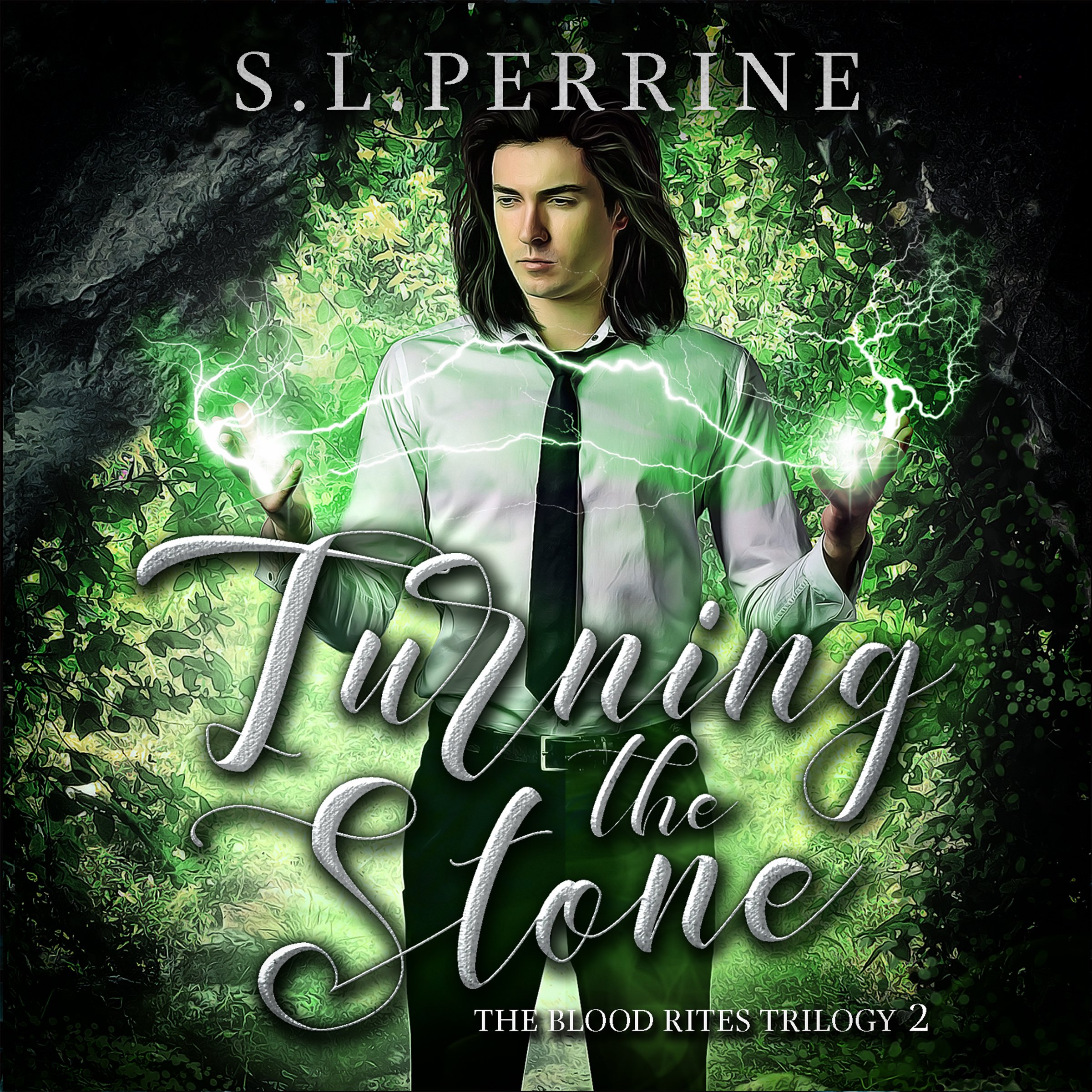 Cover art for Turning the Stone