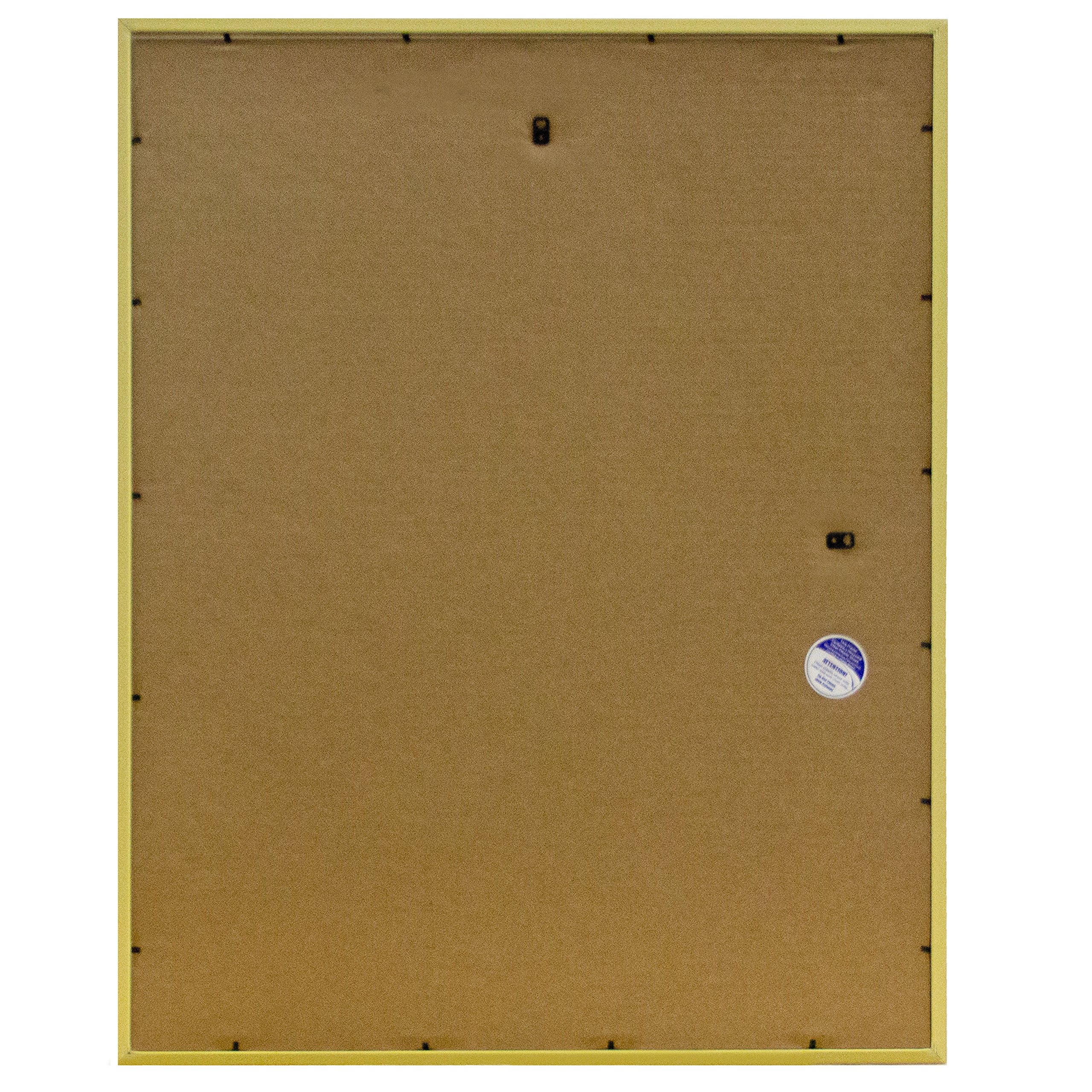 Frame USA 24x30 Deluxe Polystyrene Plastic Poster Frames (Gold), Made in America