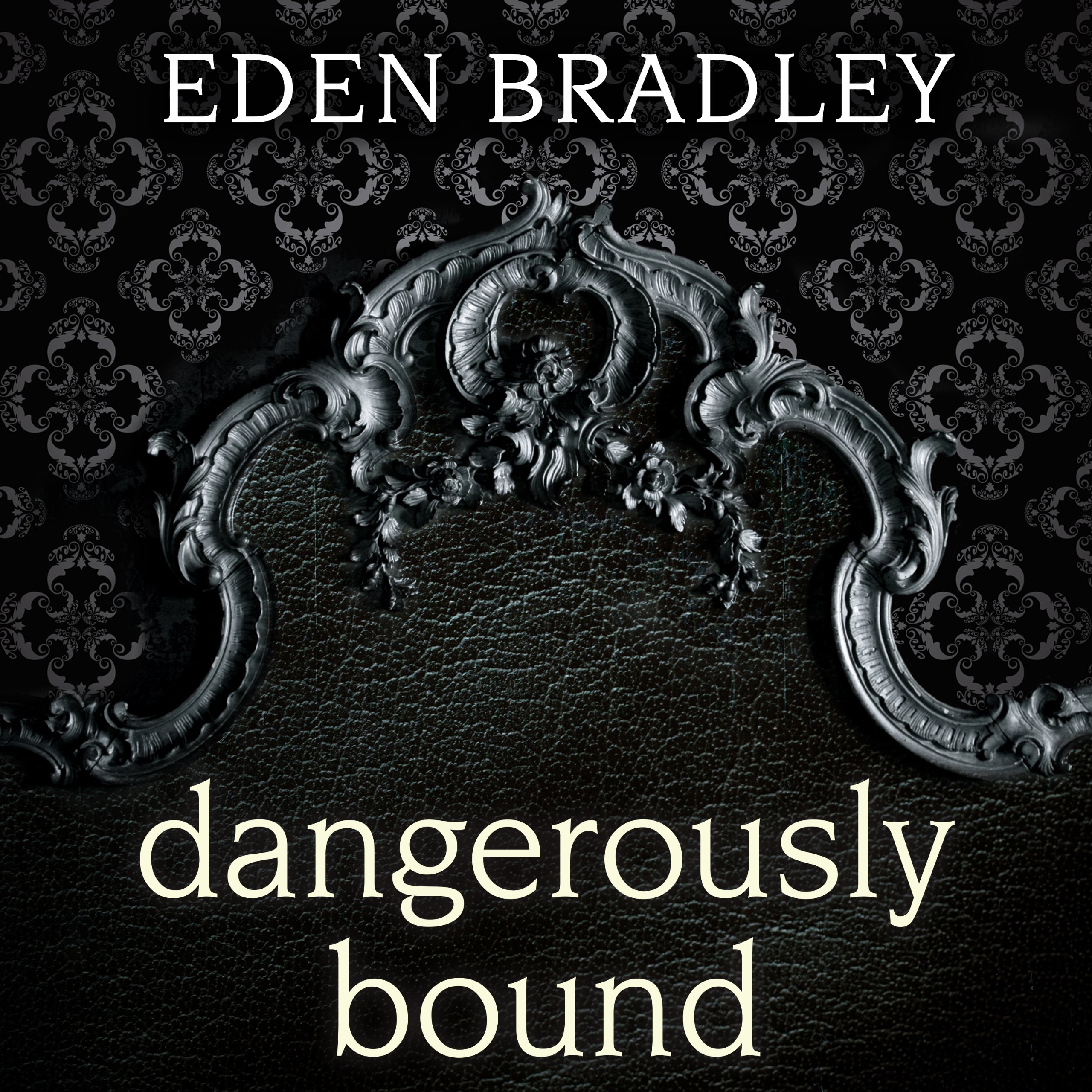 Cover art for Dangerously Bound