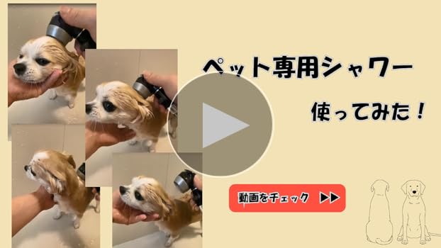 Amazon.co.jp: アラミック ペット用 シャワーヘッド 節水 高水圧