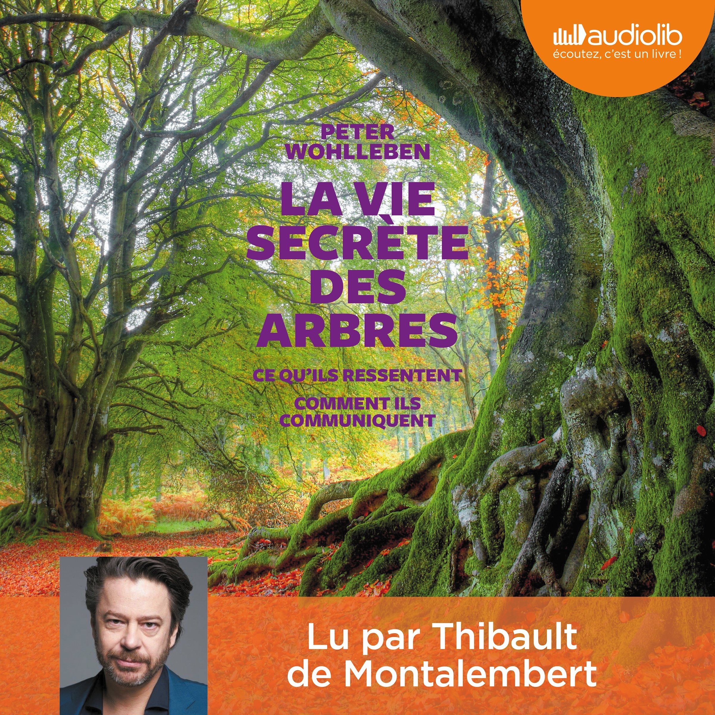 Cover art for La vie secrète des arbres. Ce qu'ils ressentent - Comment ils communiquent