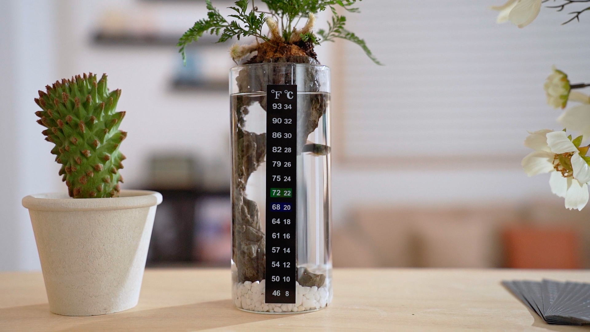 Image of Zonon 24 Pcs Stick on Thermometer Strip for Brewing Fermenting Temperature Sticker Decal Crystal Adhesive 46-93 f (8-34 c) Digital Display Sticker for Wine Beer Aquariums