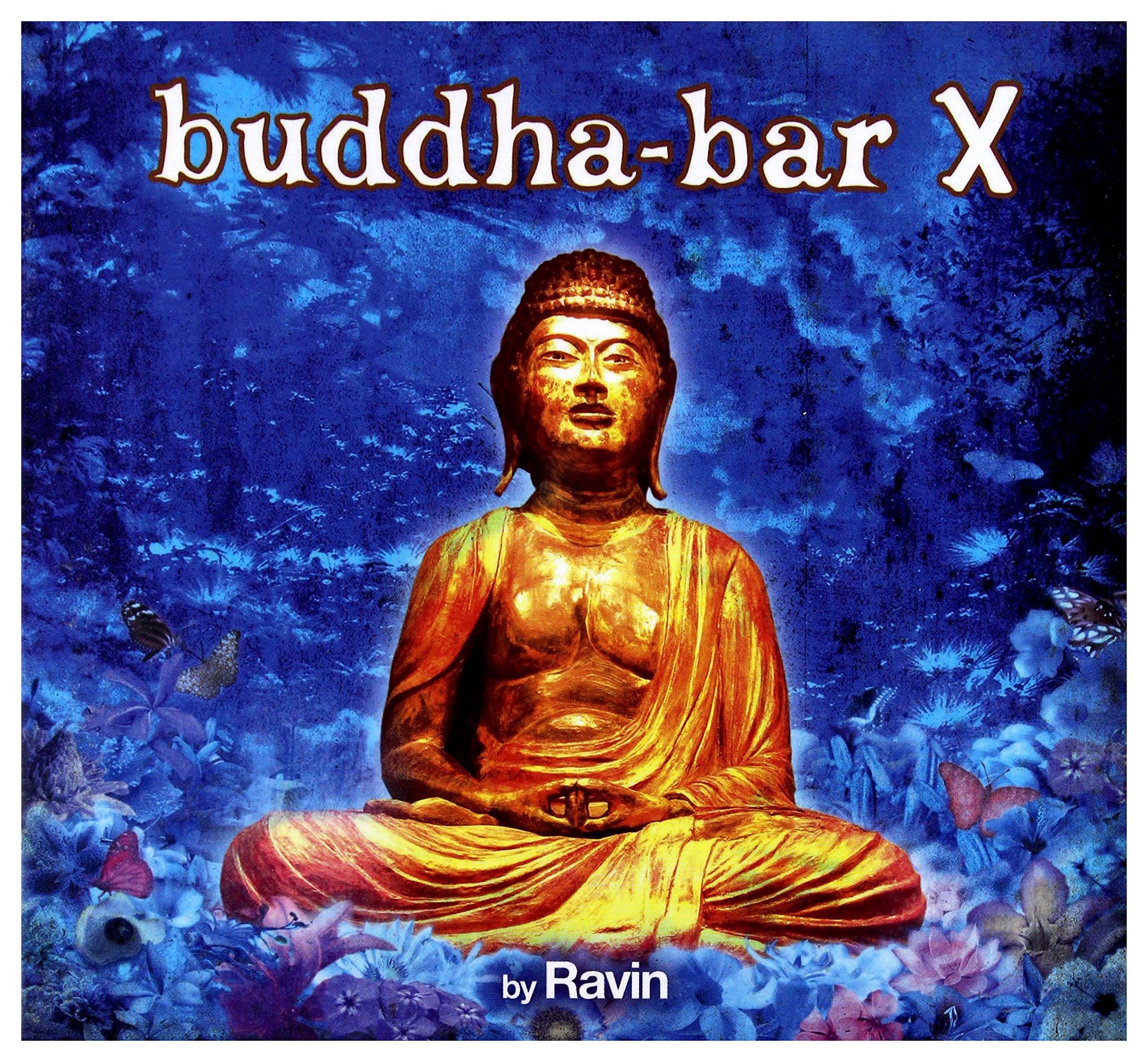 RAVIN [Audio CD] RAVIN (VARIOUS)